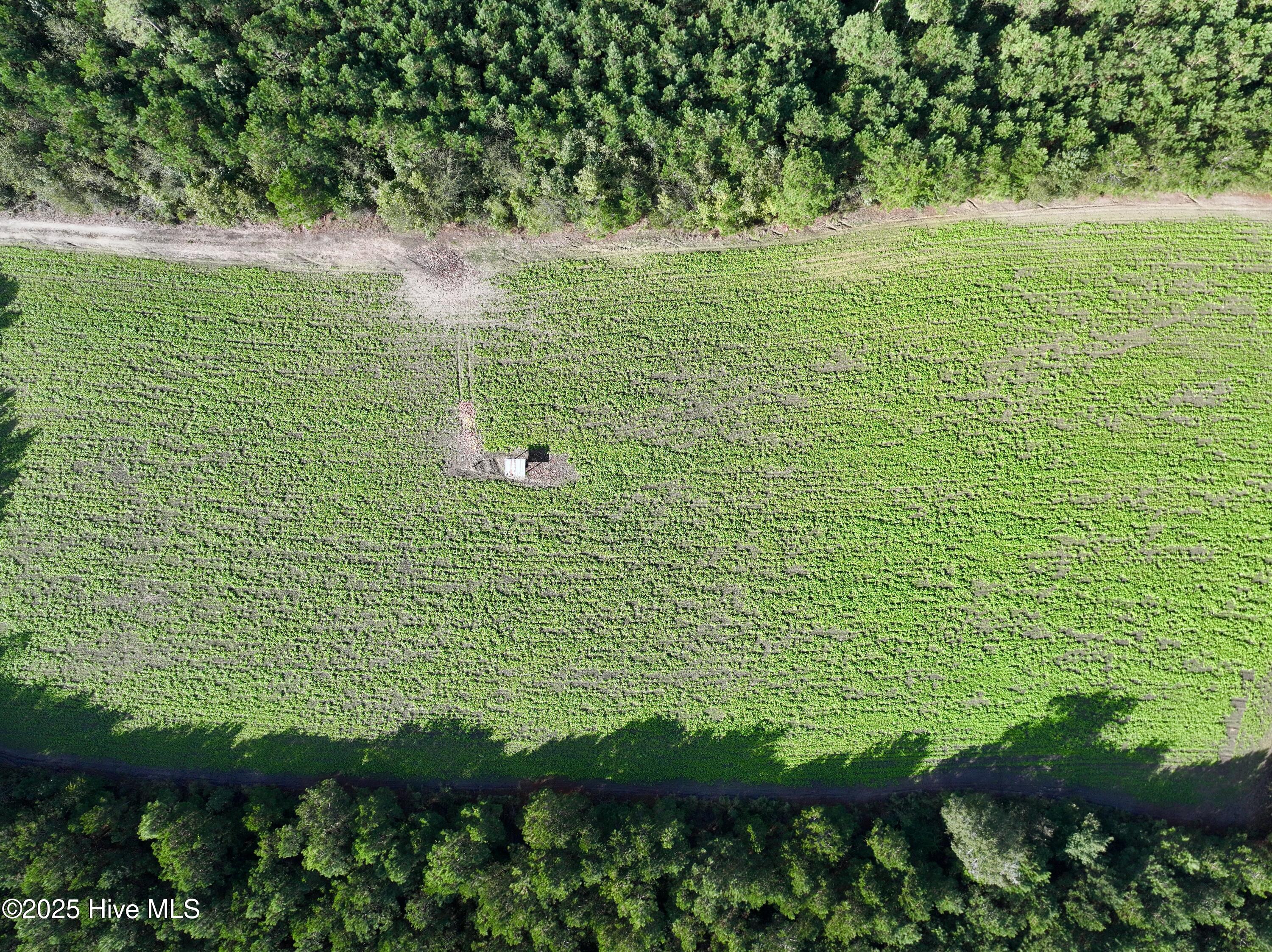 0 Atkinson Cemetery Road Property Photo 9