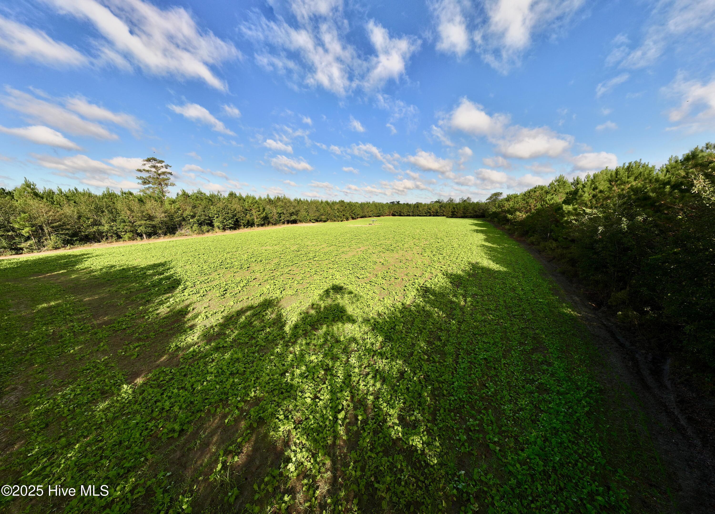 0 Atkinson Cemetery Road Property Photo 11