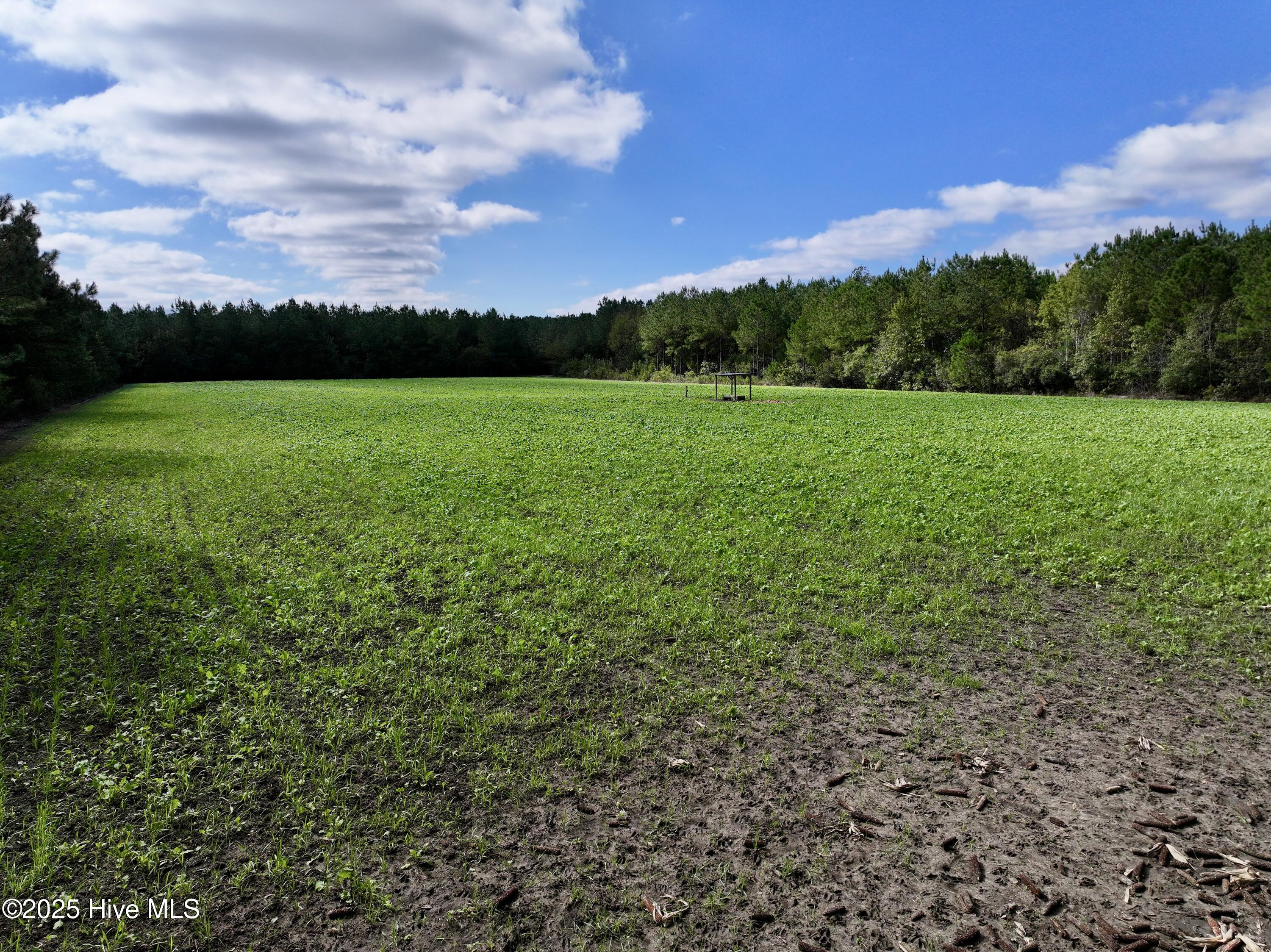 0 Atkinson Cemetery Road Property Photo 12