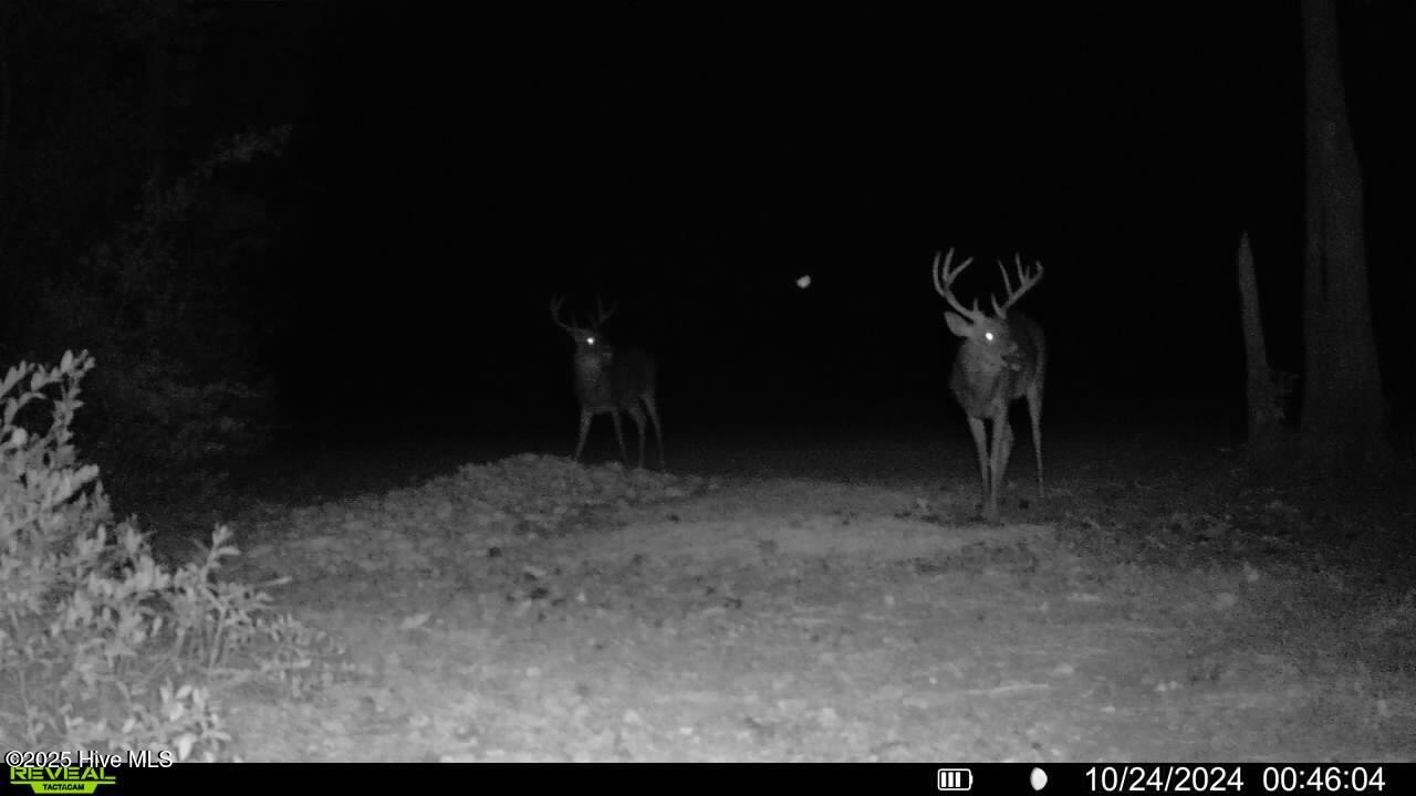 0 Atkinson Cemetery Road Property Photo 13