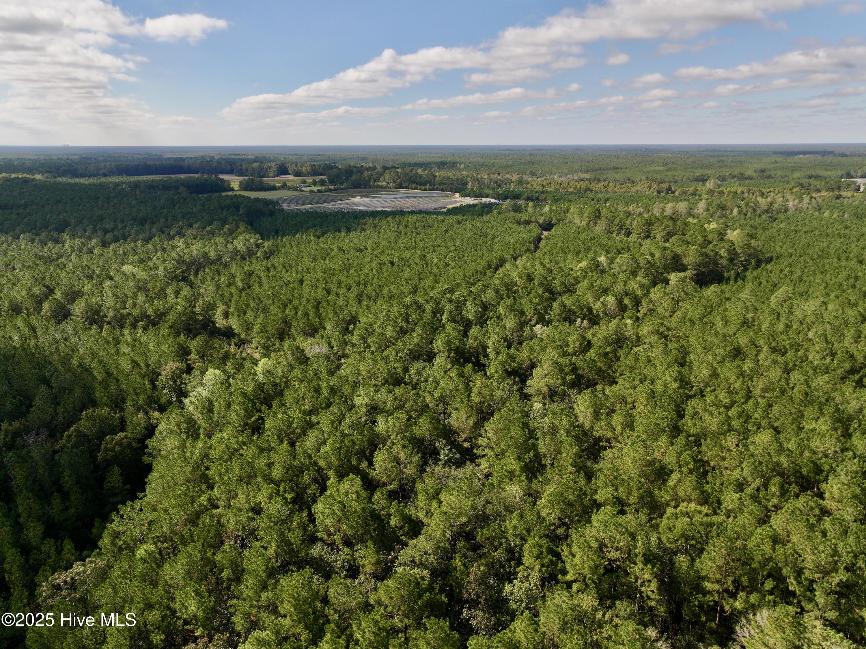 0 Atkinson Cemetery Road Property Photo 14