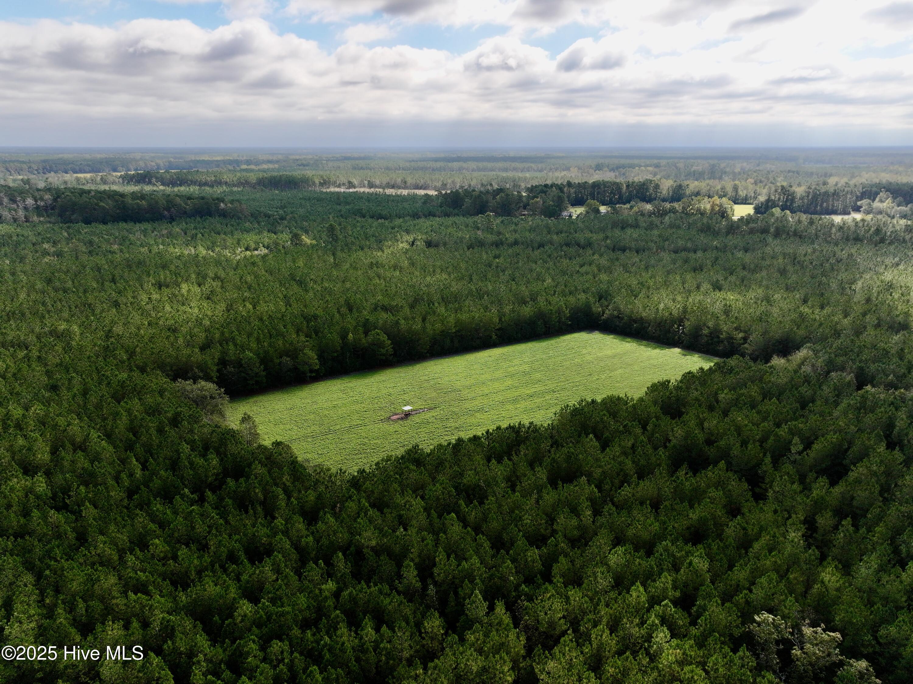 0 Atkinson Cemetery Road Property Photo 15