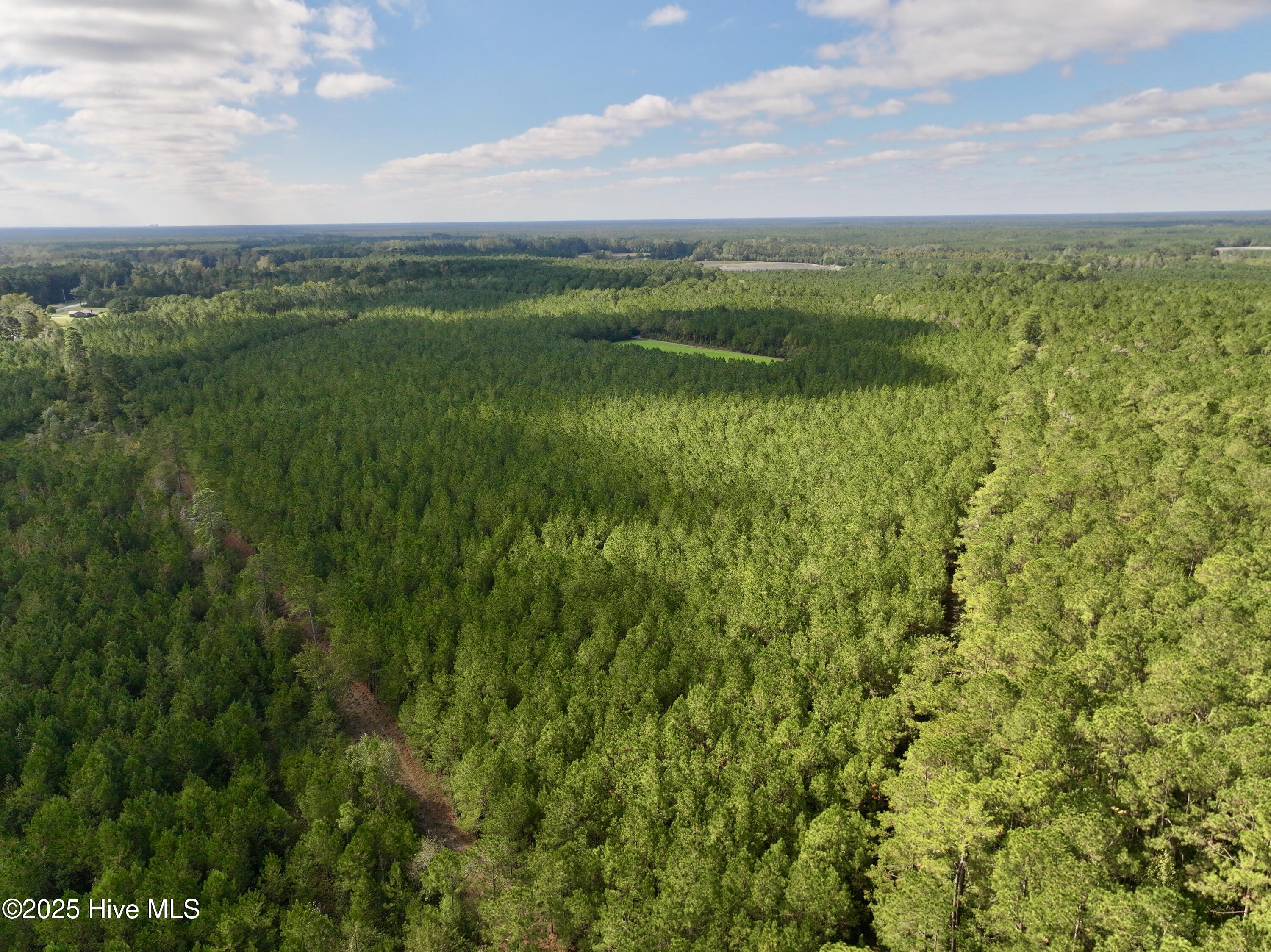 0 Atkinson Cemetery Road Property Photo 16