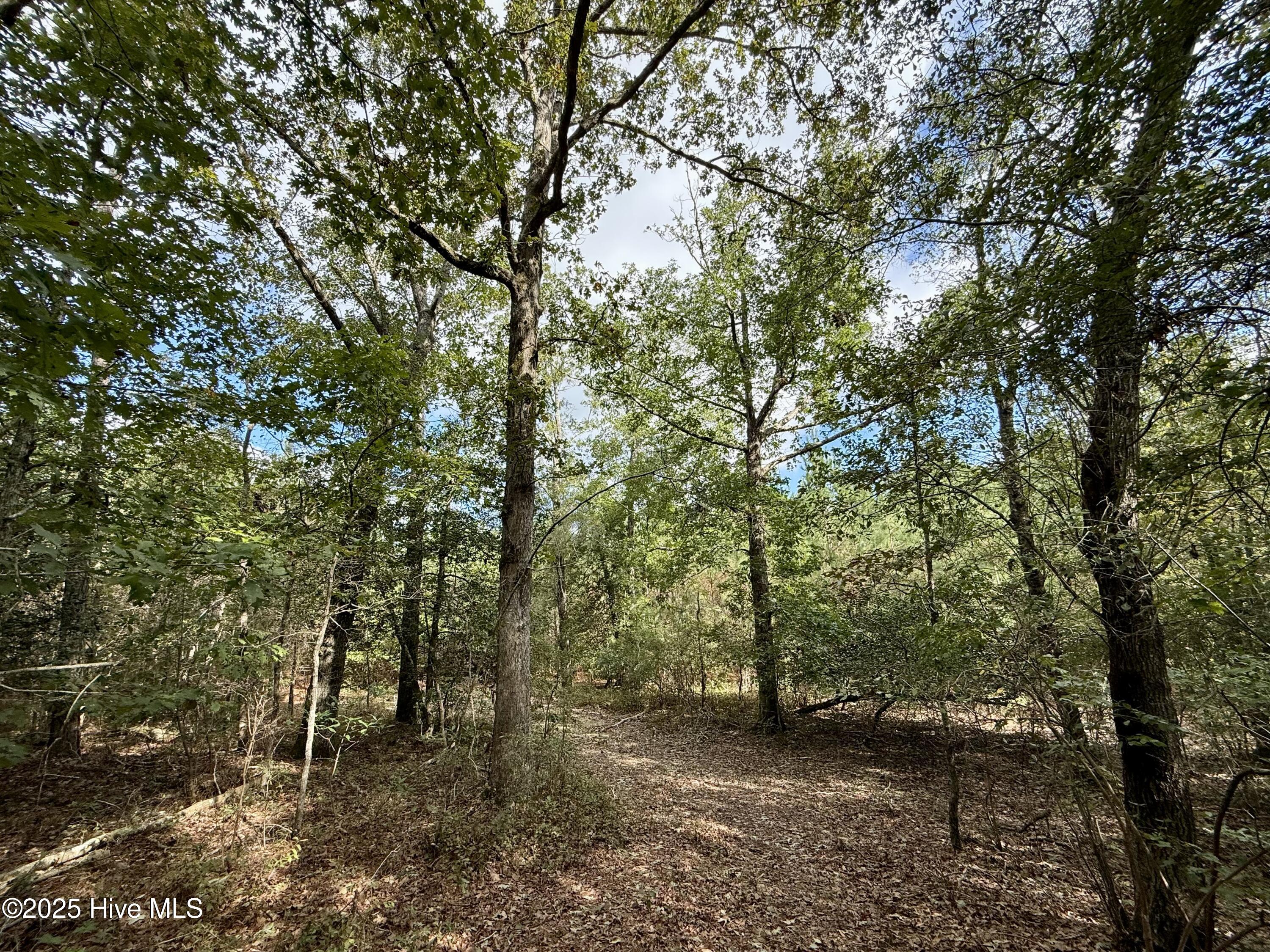 0 Atkinson Cemetery Road Property Photo 17