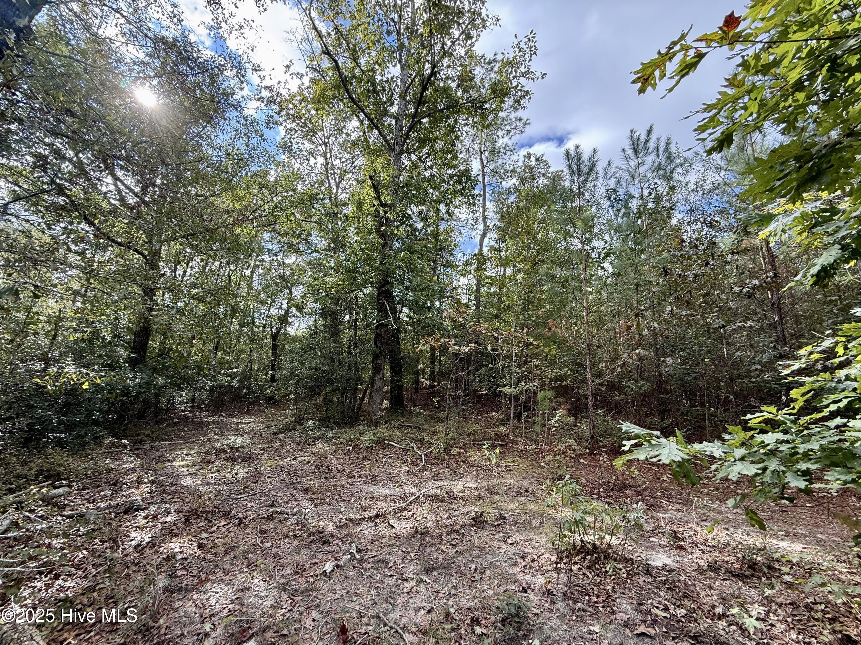 0 Atkinson Cemetery Road Property Photo 18