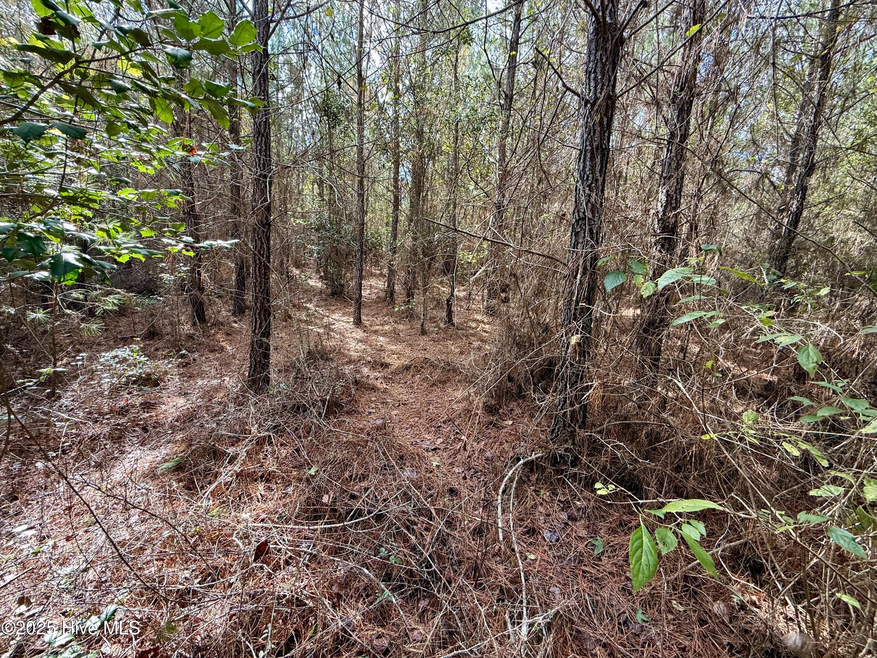 0 Atkinson Cemetery Road Property Photo 19