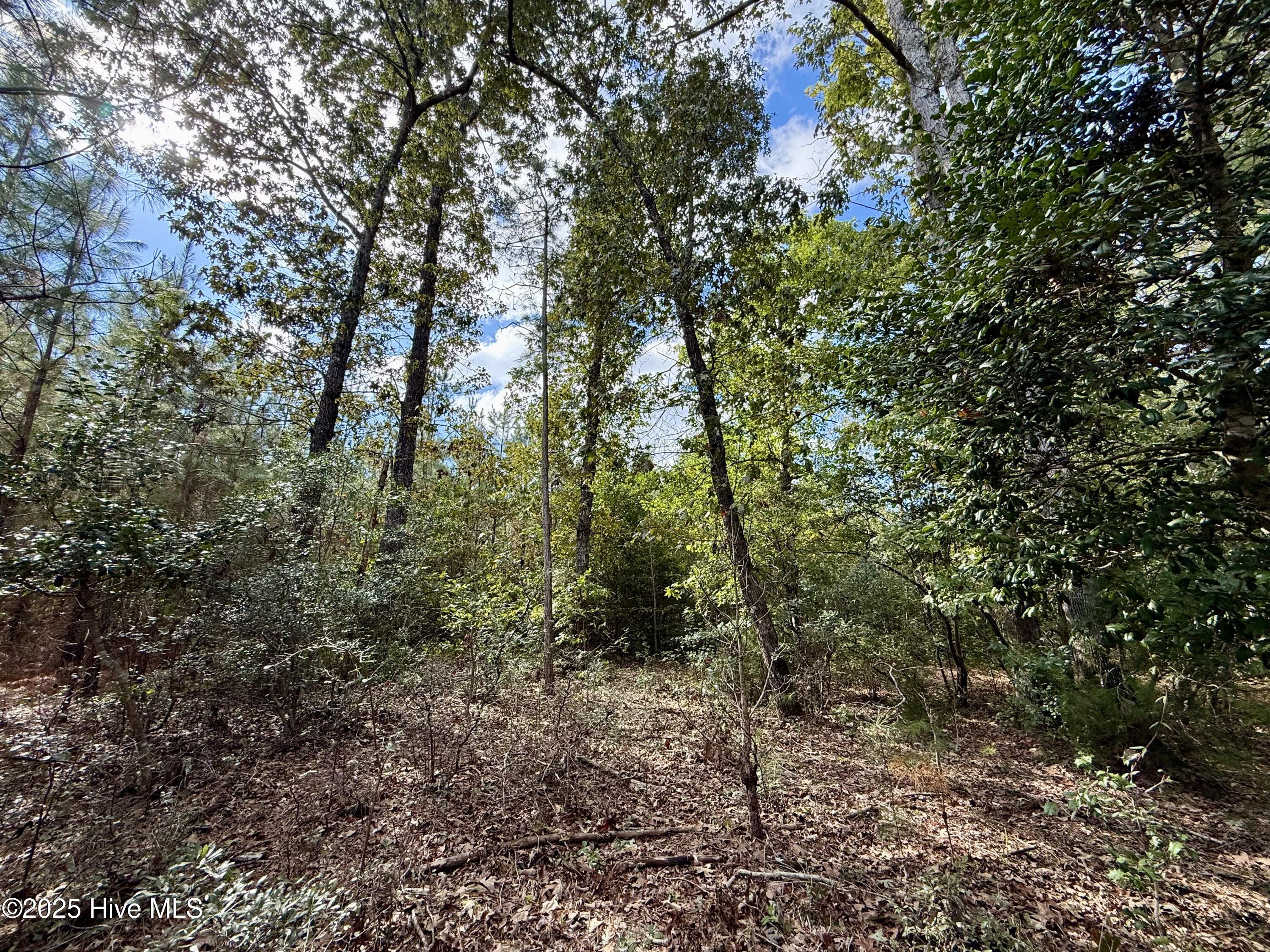 0 Atkinson Cemetery Road Property Photo 20