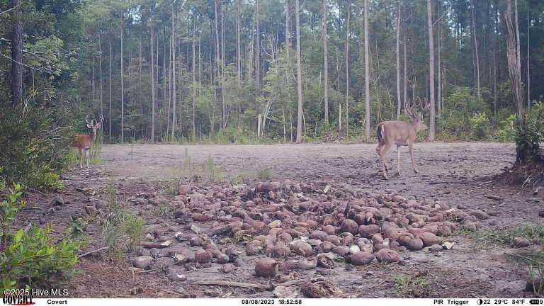 0 Atkinson Cemetery Road Property Photo 22
