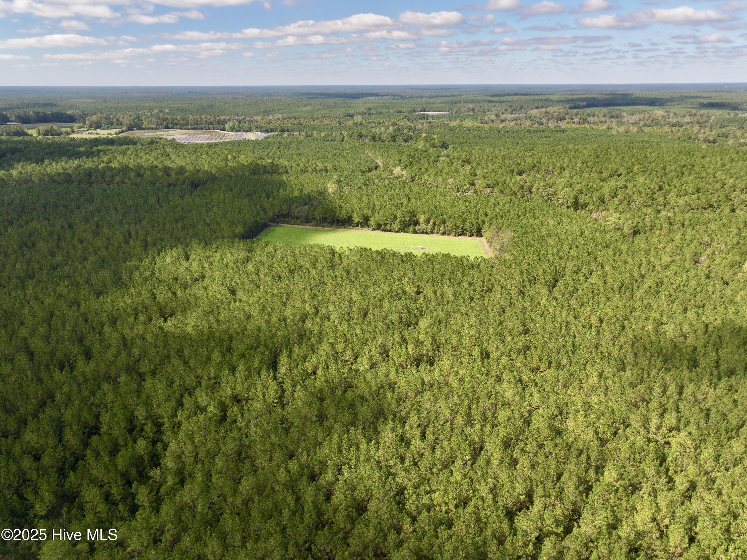 0 Atkinson Cemetery Road Property Photo 23