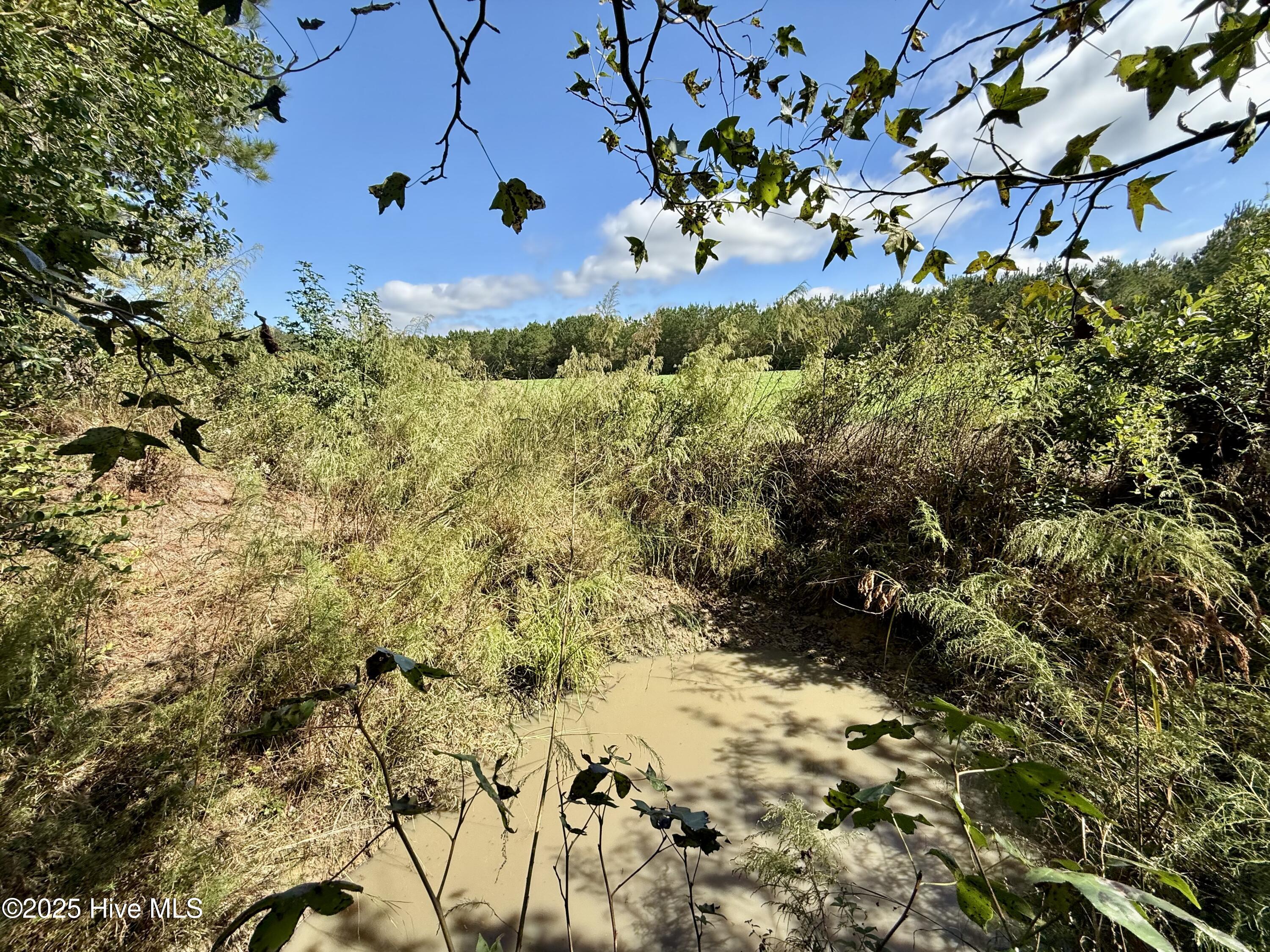 0 Atkinson Cemetery Road Property Photo 24