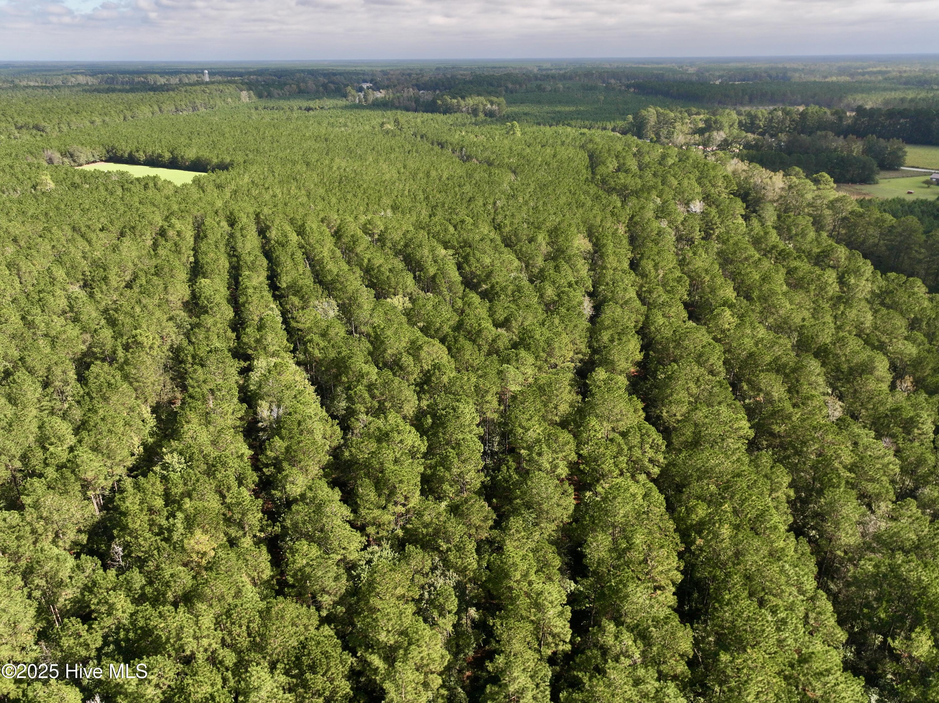 0 Atkinson Cemetery Road Property Photo 26