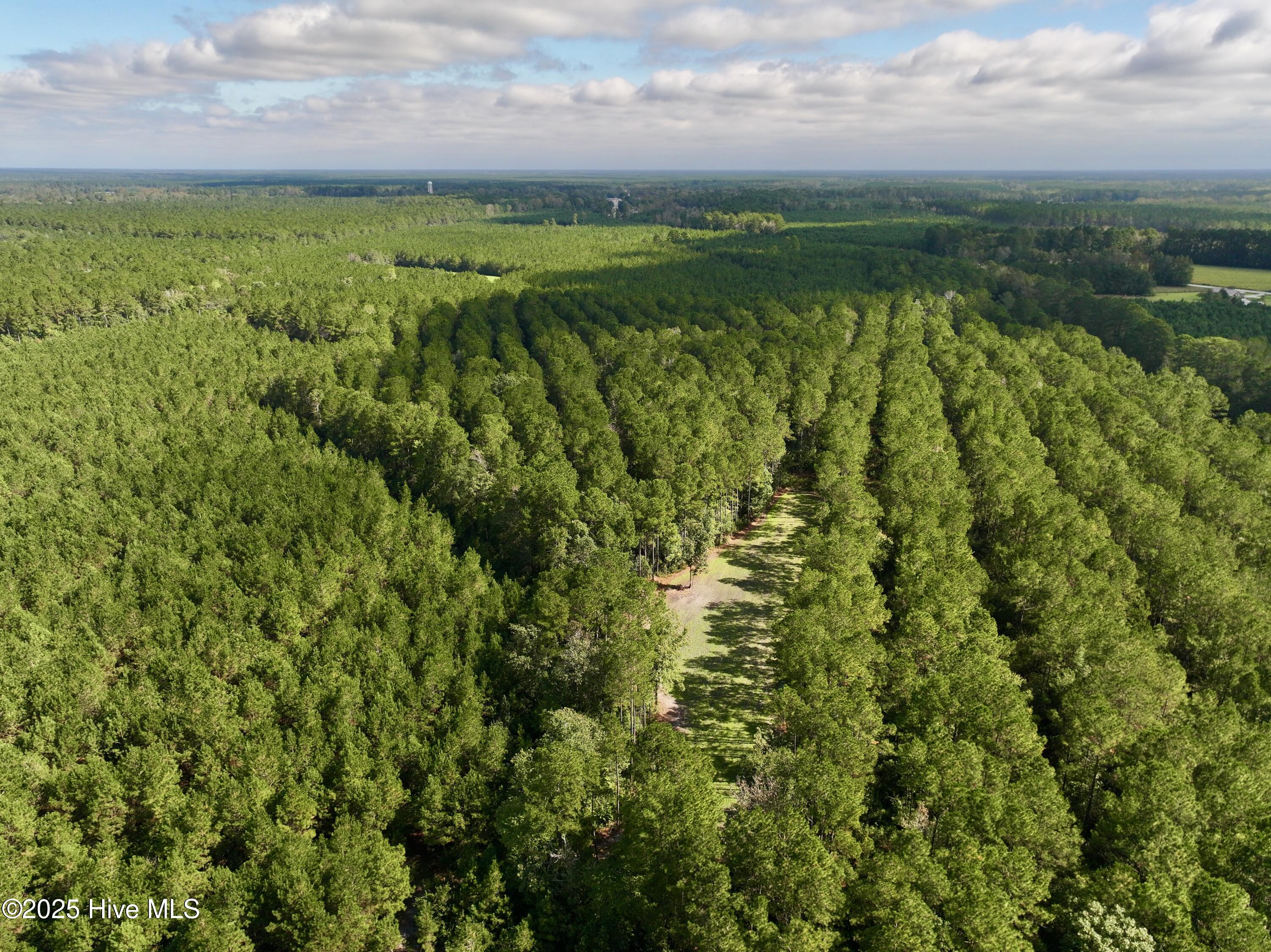 0 Atkinson Cemetery Road Property Photo 27