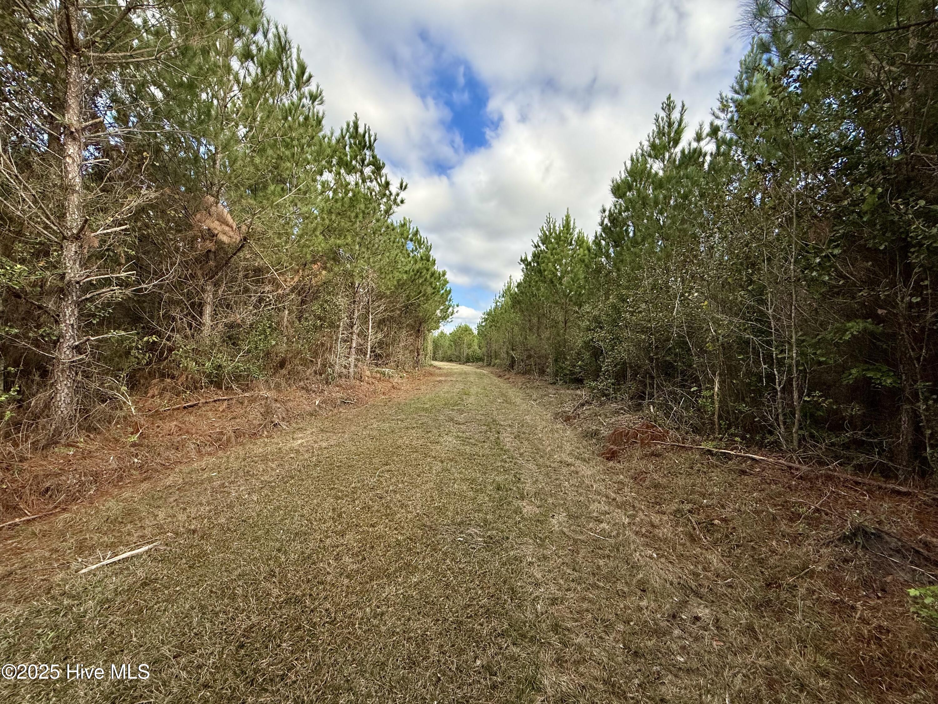 0 Atkinson Cemetery Road Property Photo 28