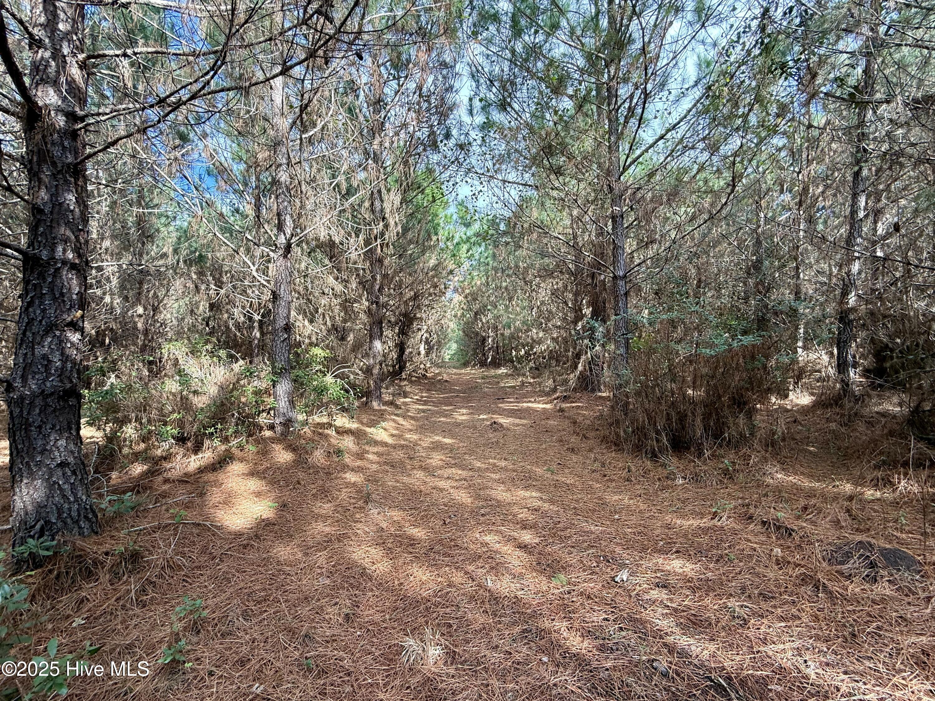 0 Atkinson Cemetery Road Property Photo 30