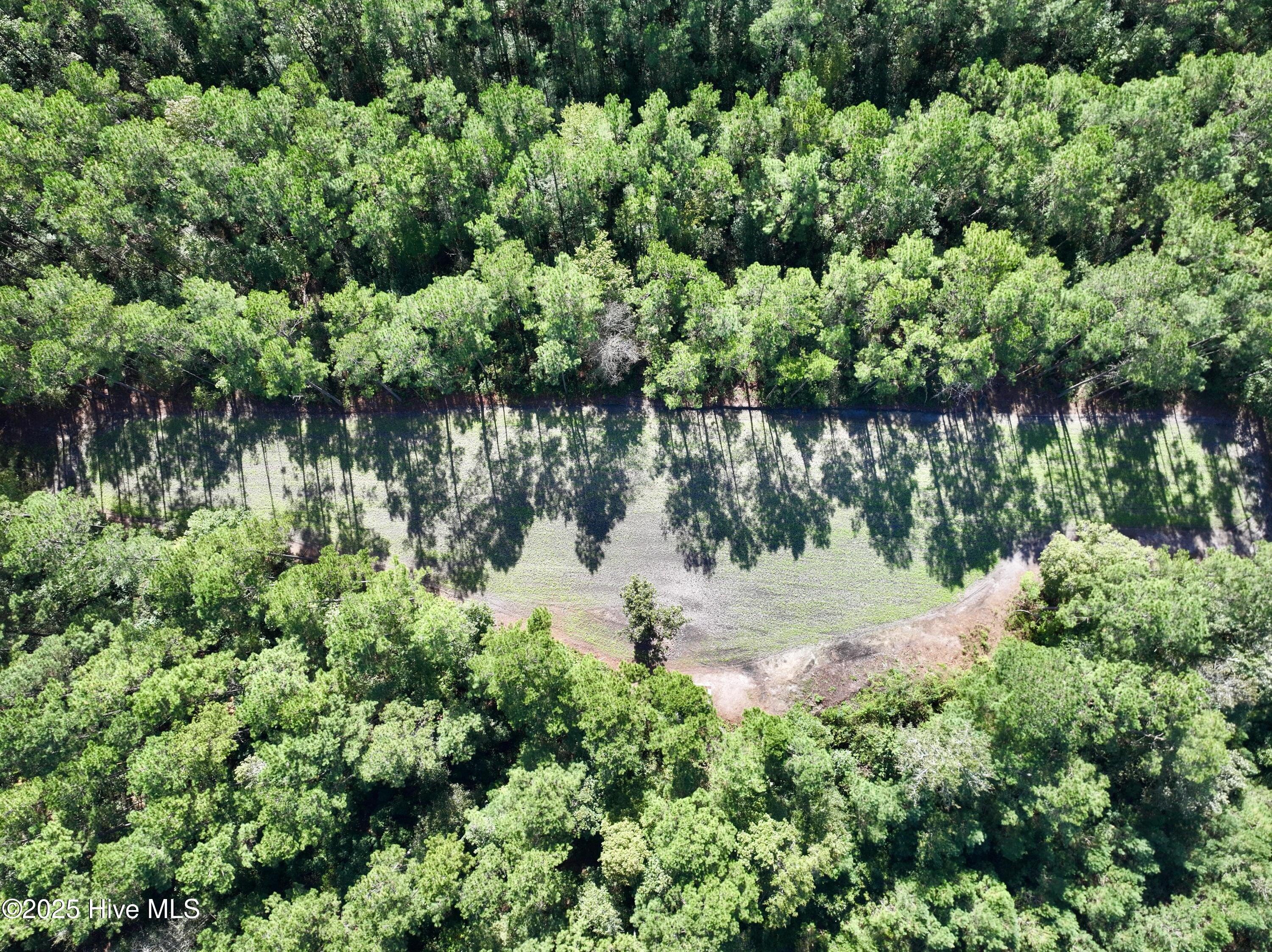 0 Atkinson Cemetery Road Property Photo 31