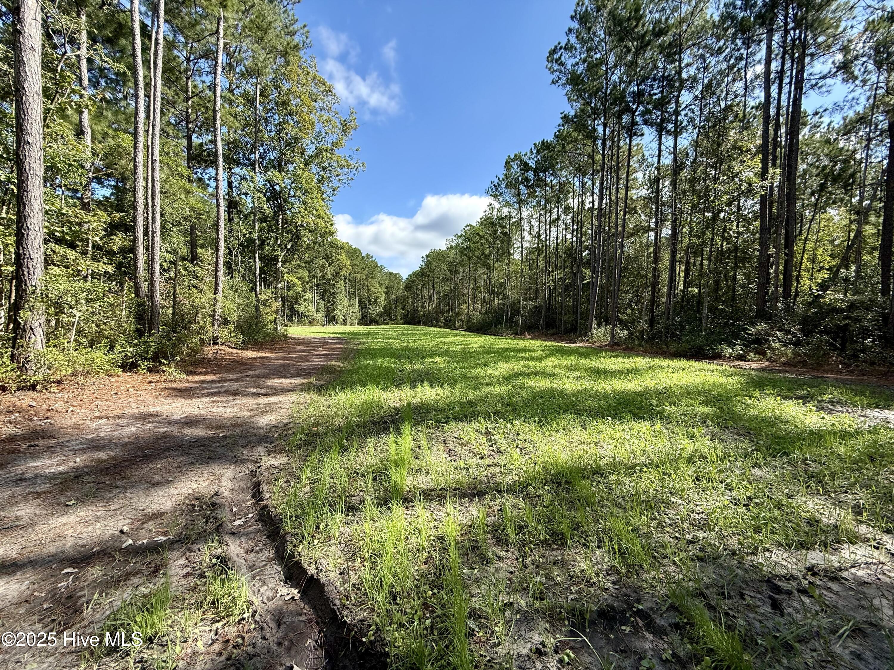 0 Atkinson Cemetery Road Property Photo 32