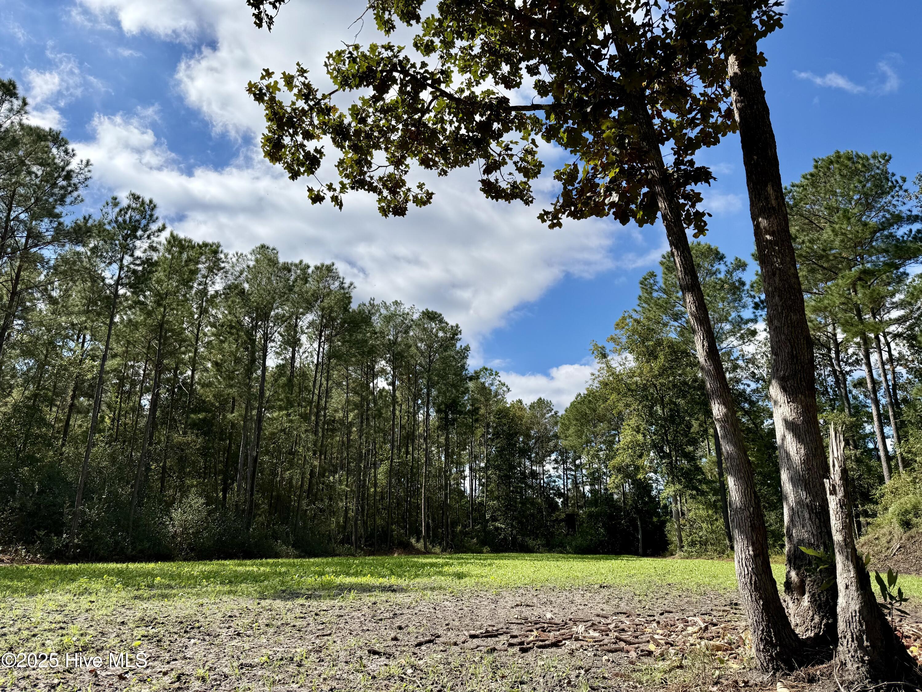 0 Atkinson Cemetery Road Property Photo 33