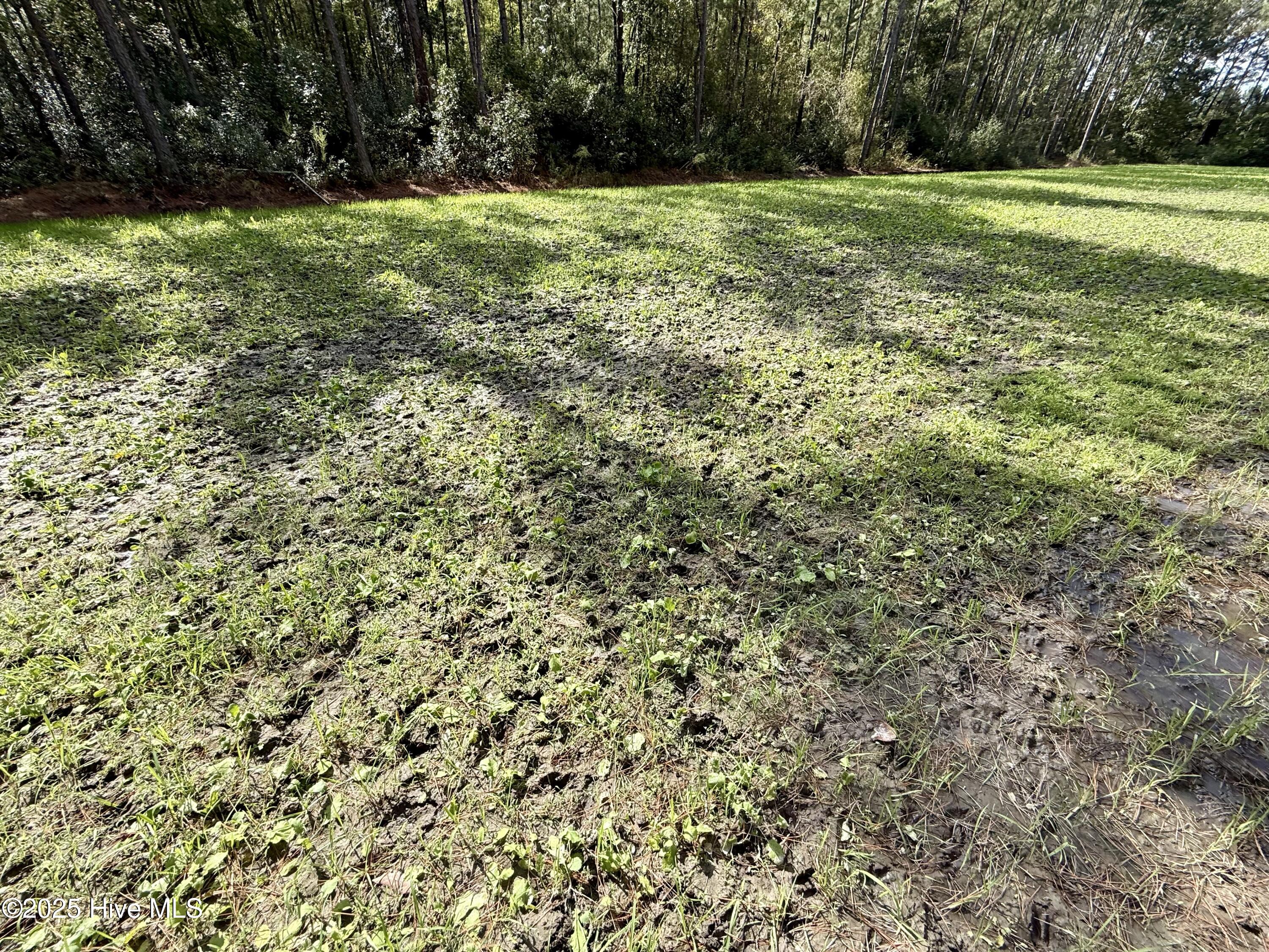 0 Atkinson Cemetery Road Property Photo 34