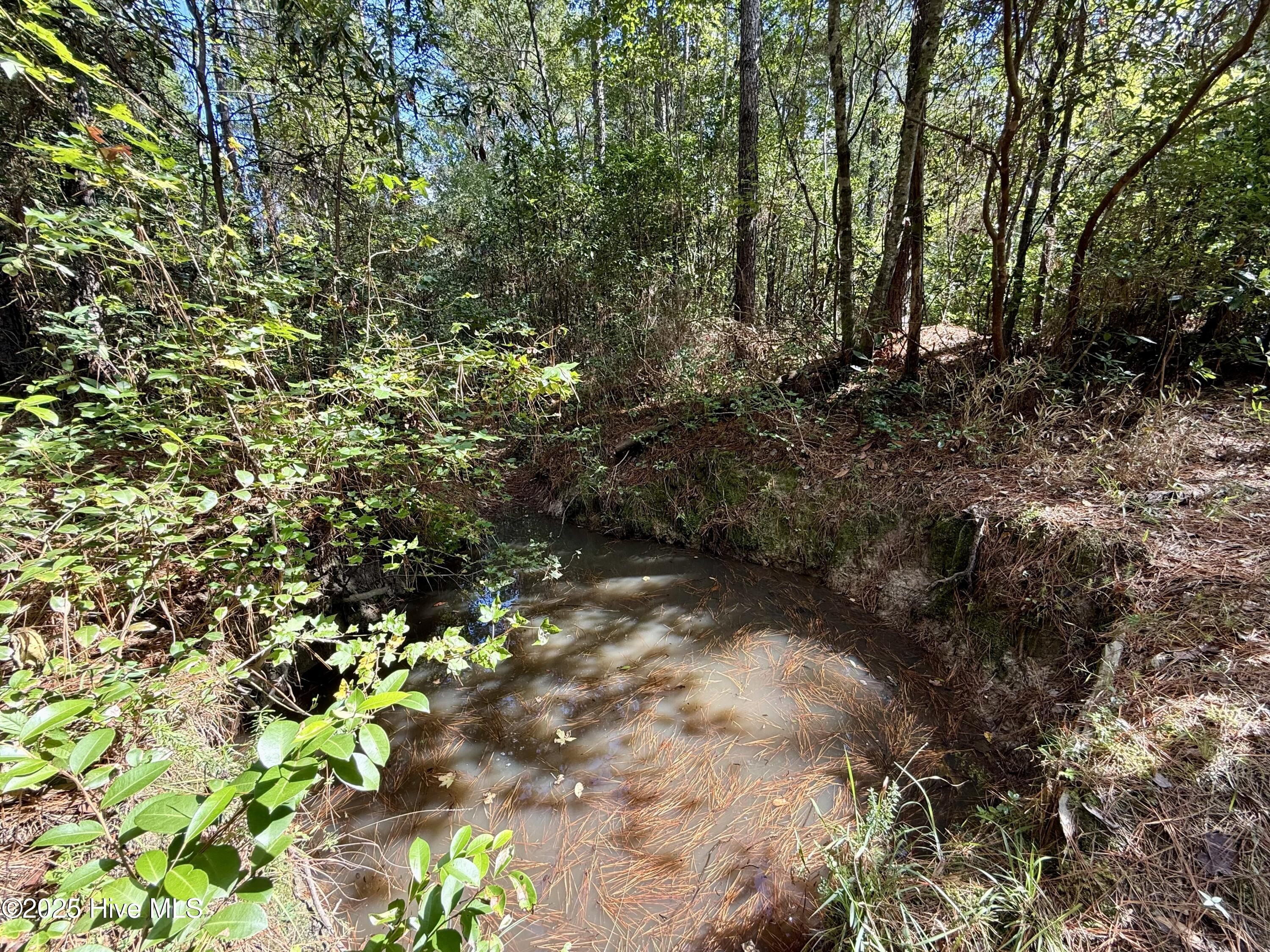 0 Atkinson Cemetery Road Property Photo 35
