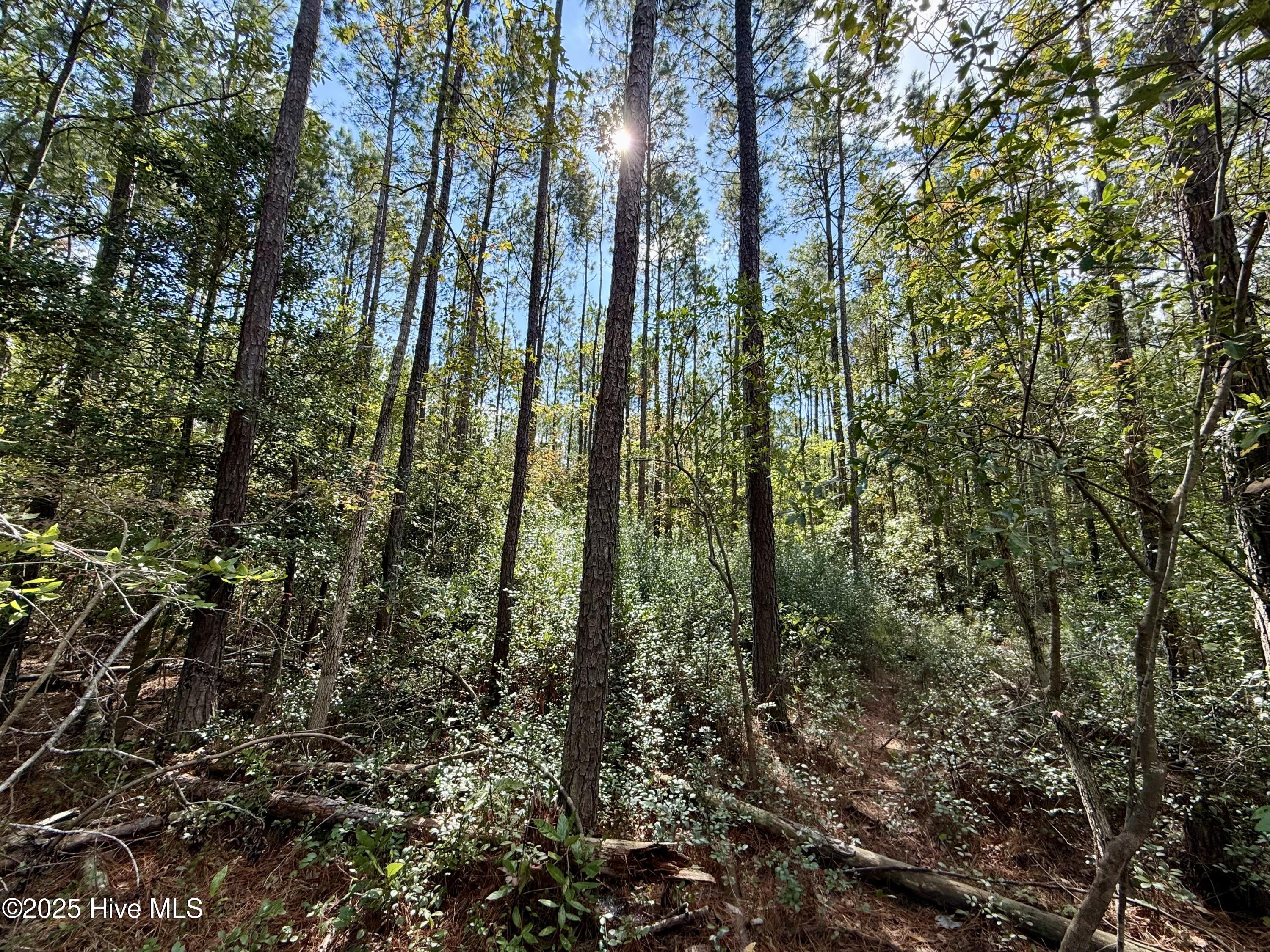 0 Atkinson Cemetery Road Property Photo 36