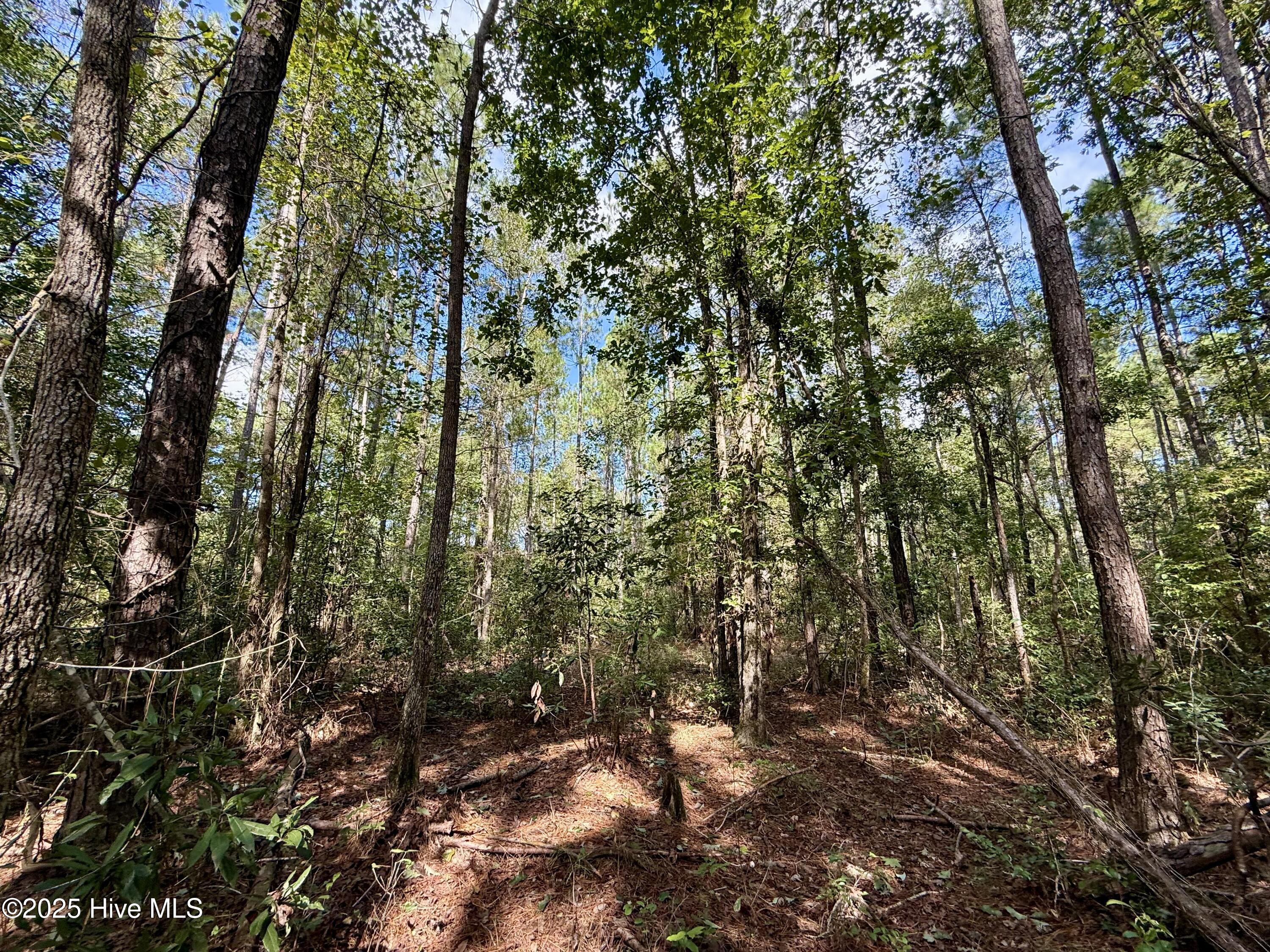 0 Atkinson Cemetery Road Property Photo 38