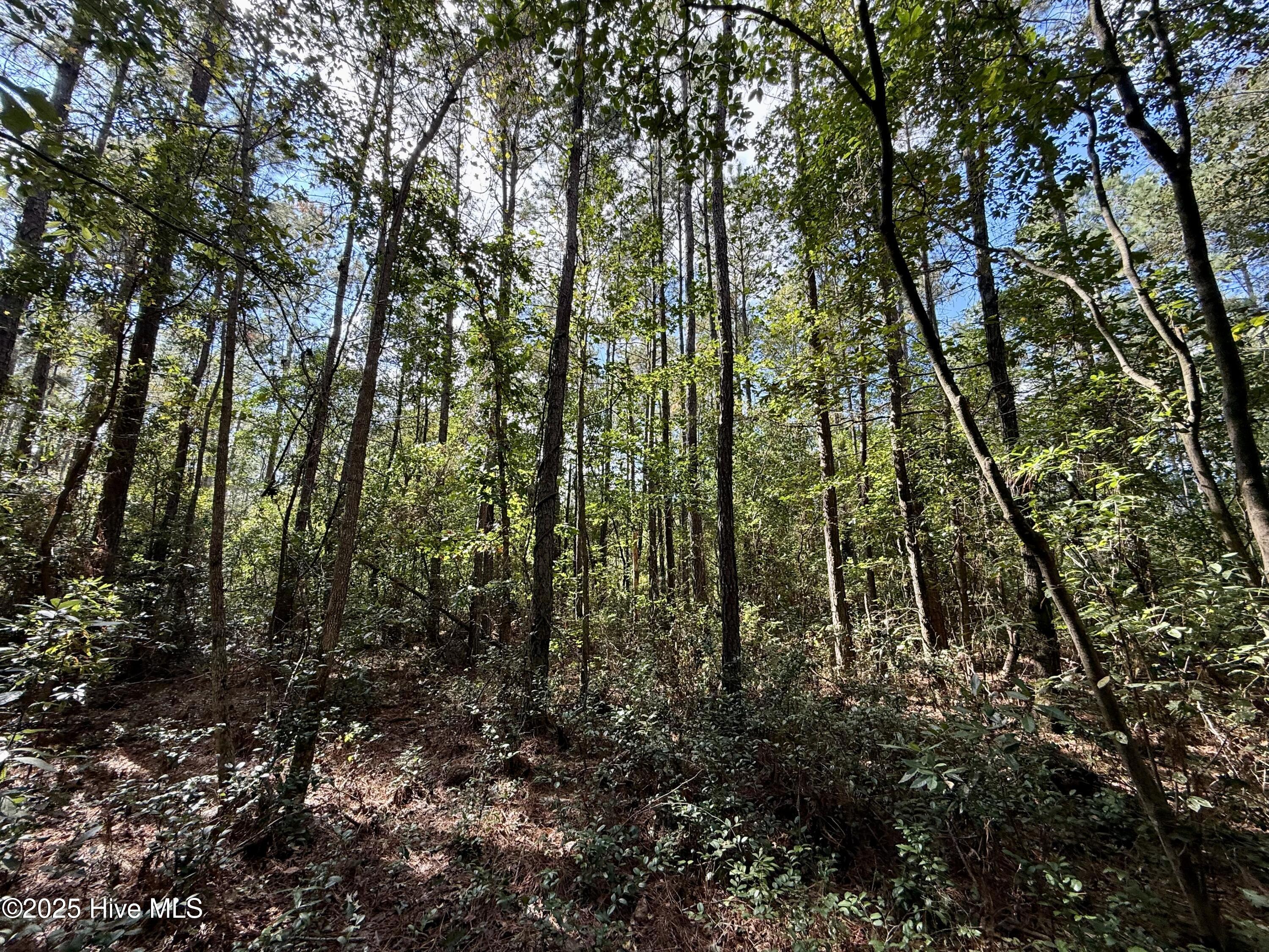 0 Atkinson Cemetery Road Property Photo 39