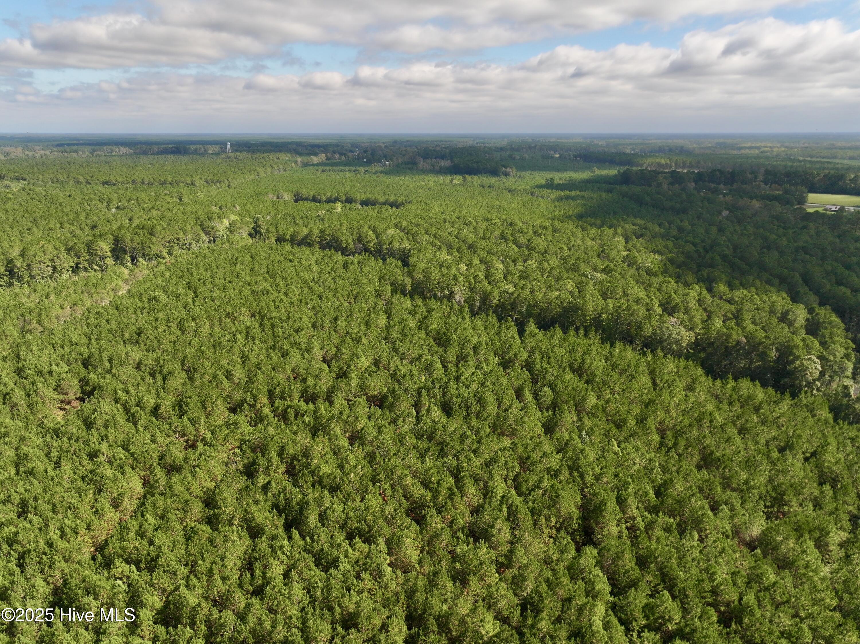 0 Atkinson Cemetery Road Property Photo 40