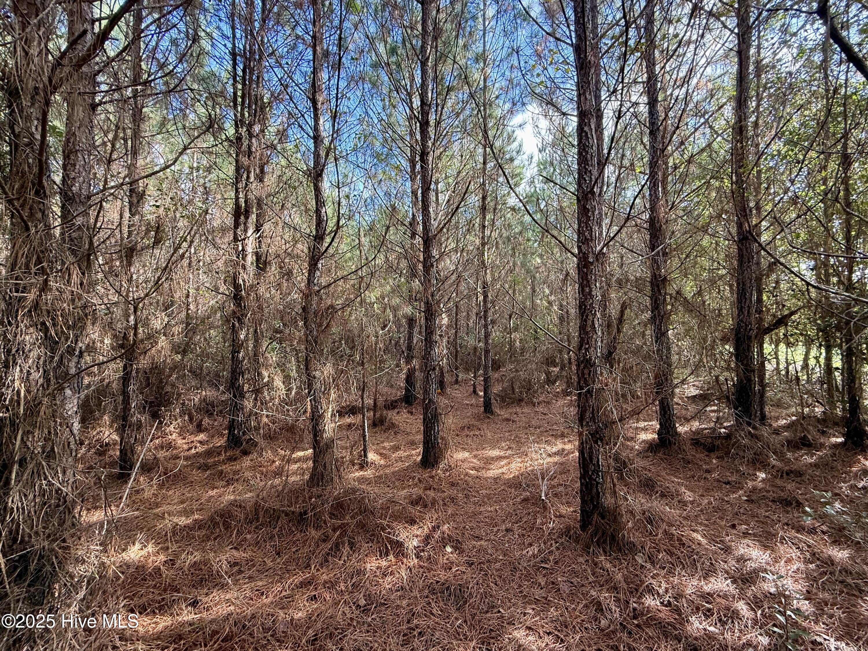 0 Atkinson Cemetery Road Property Photo 41