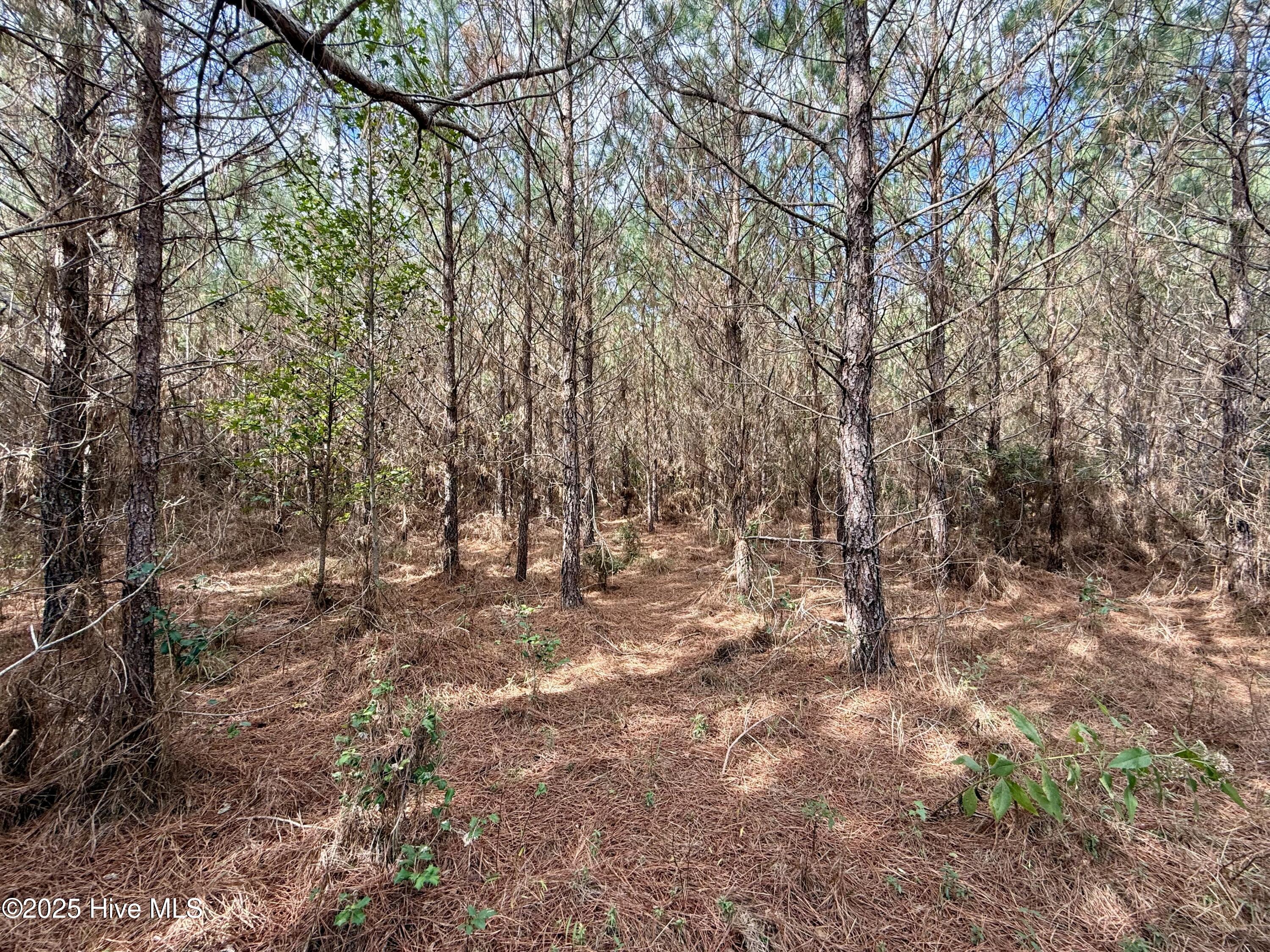 0 Atkinson Cemetery Road Property Photo 42