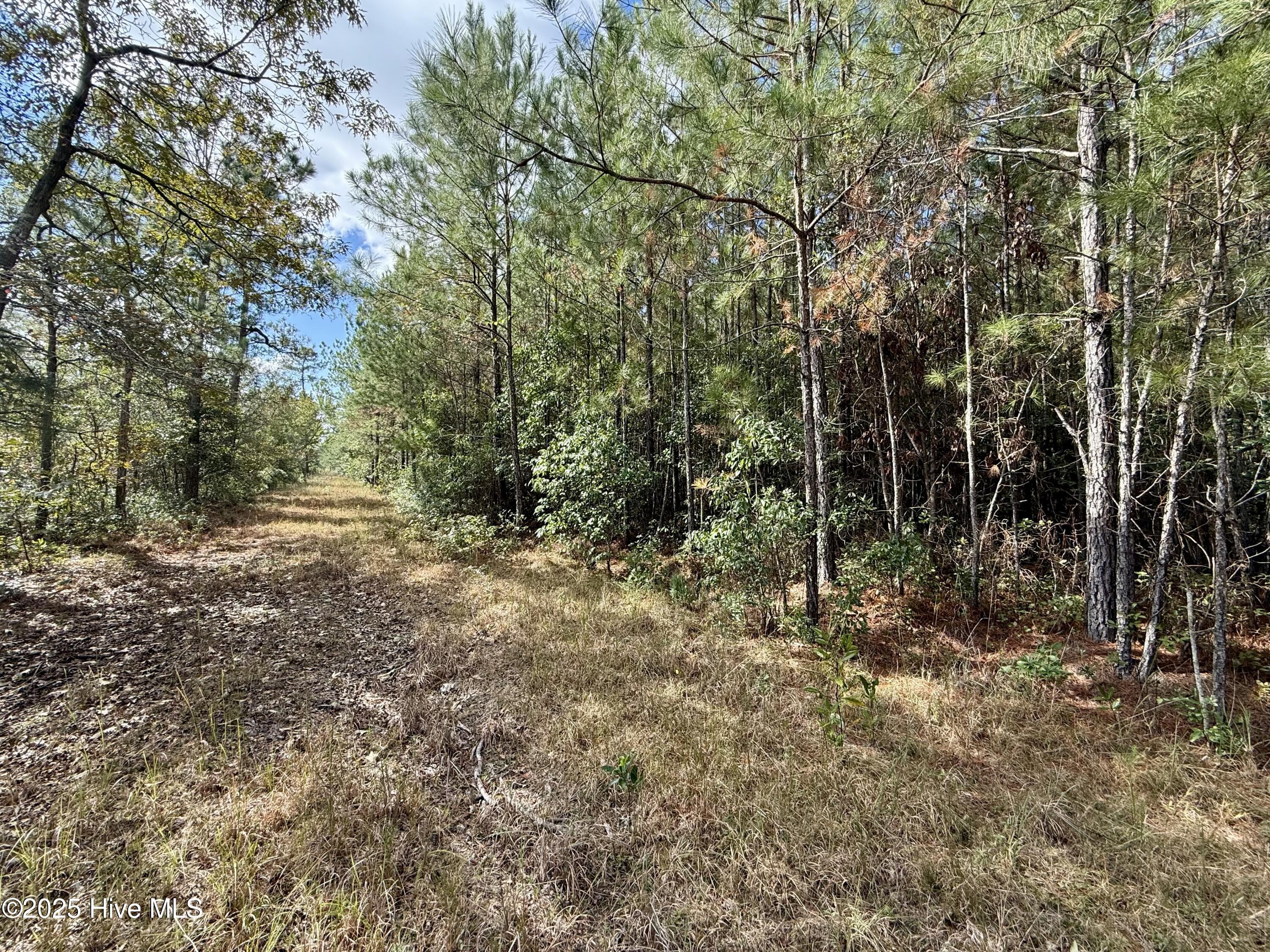 0 Atkinson Cemetery Road Property Photo 43