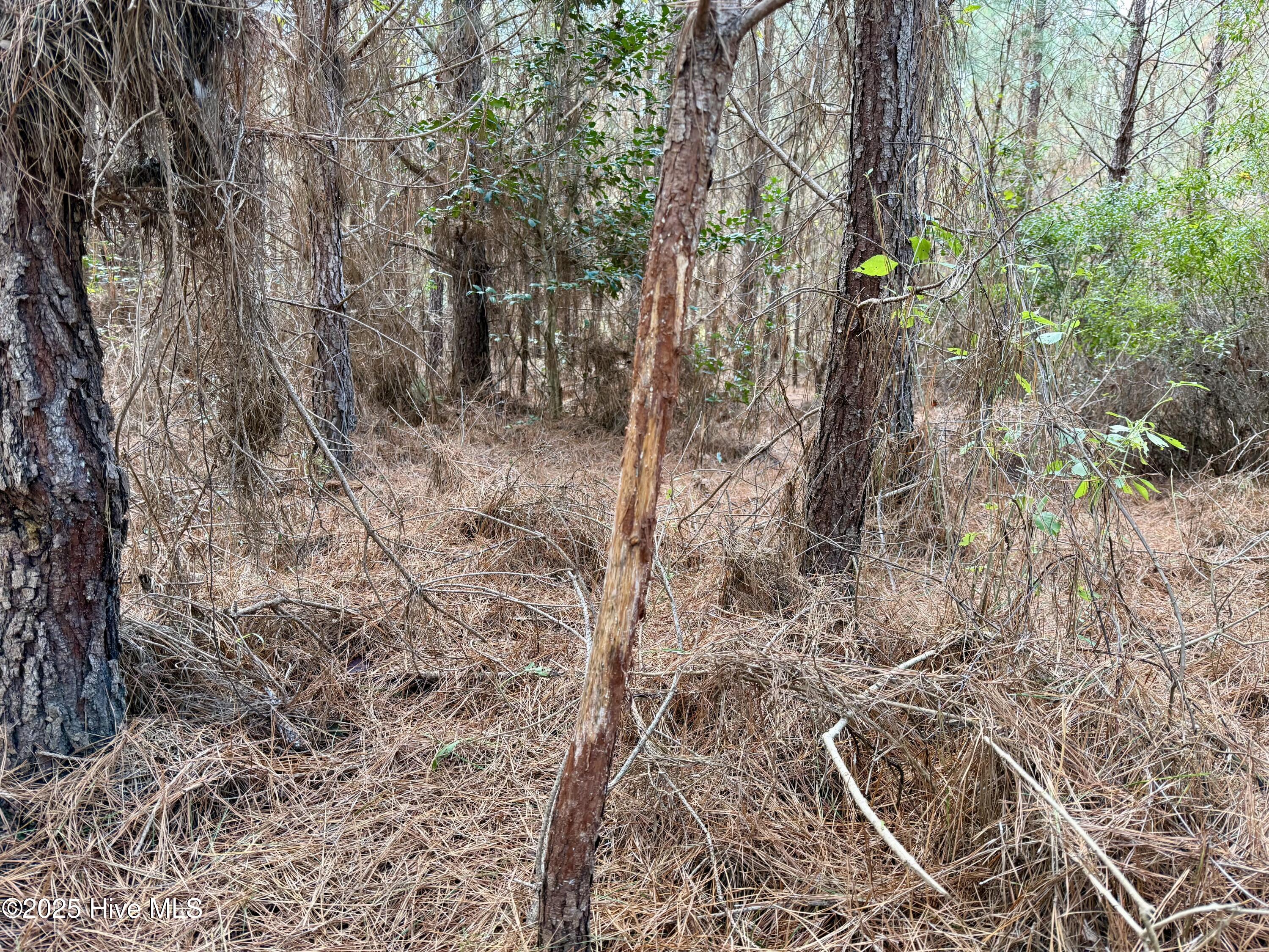 0 Atkinson Cemetery Road Property Photo 44