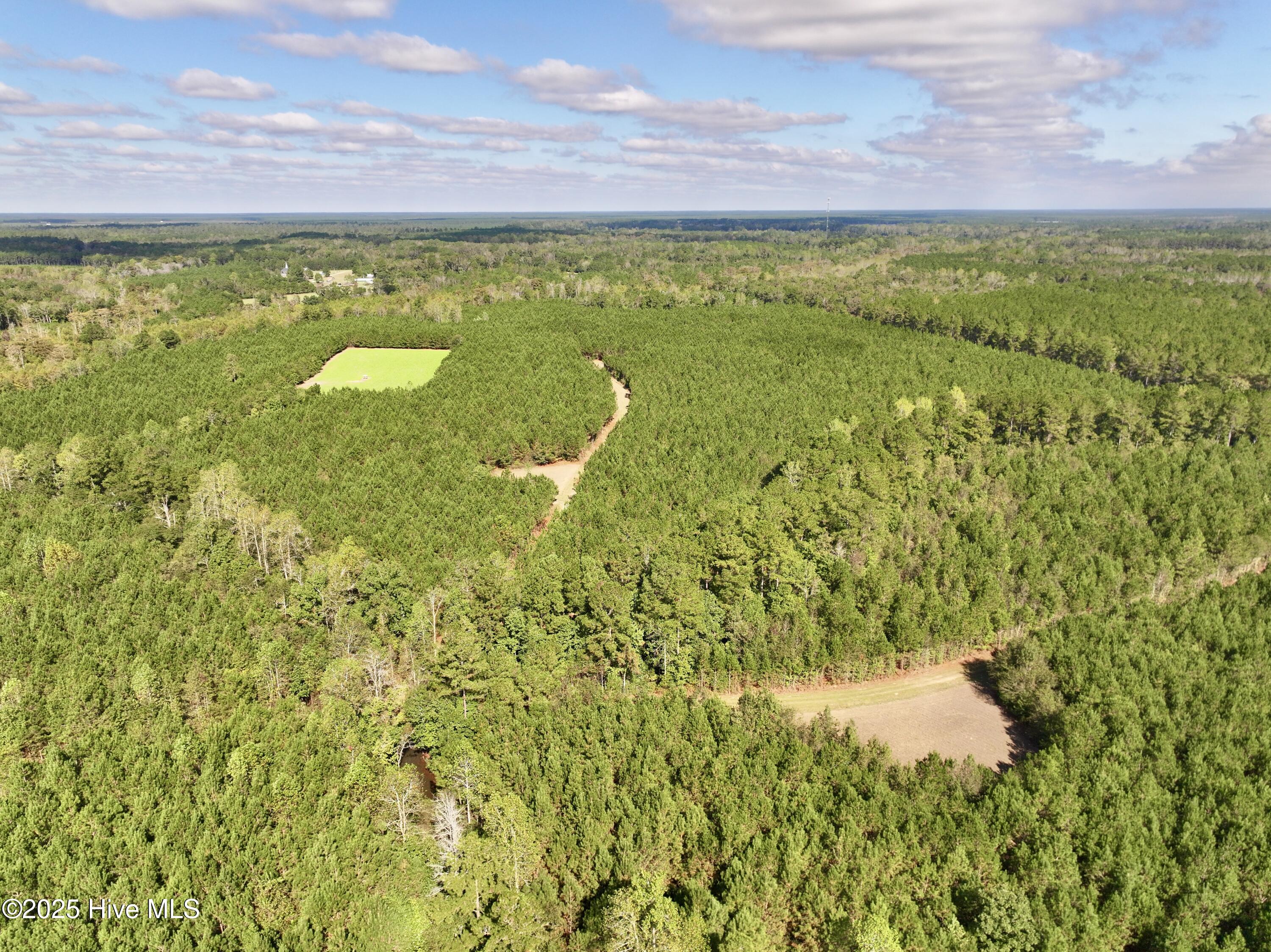 0 Atkinson Cemetery Road Property Photo 45