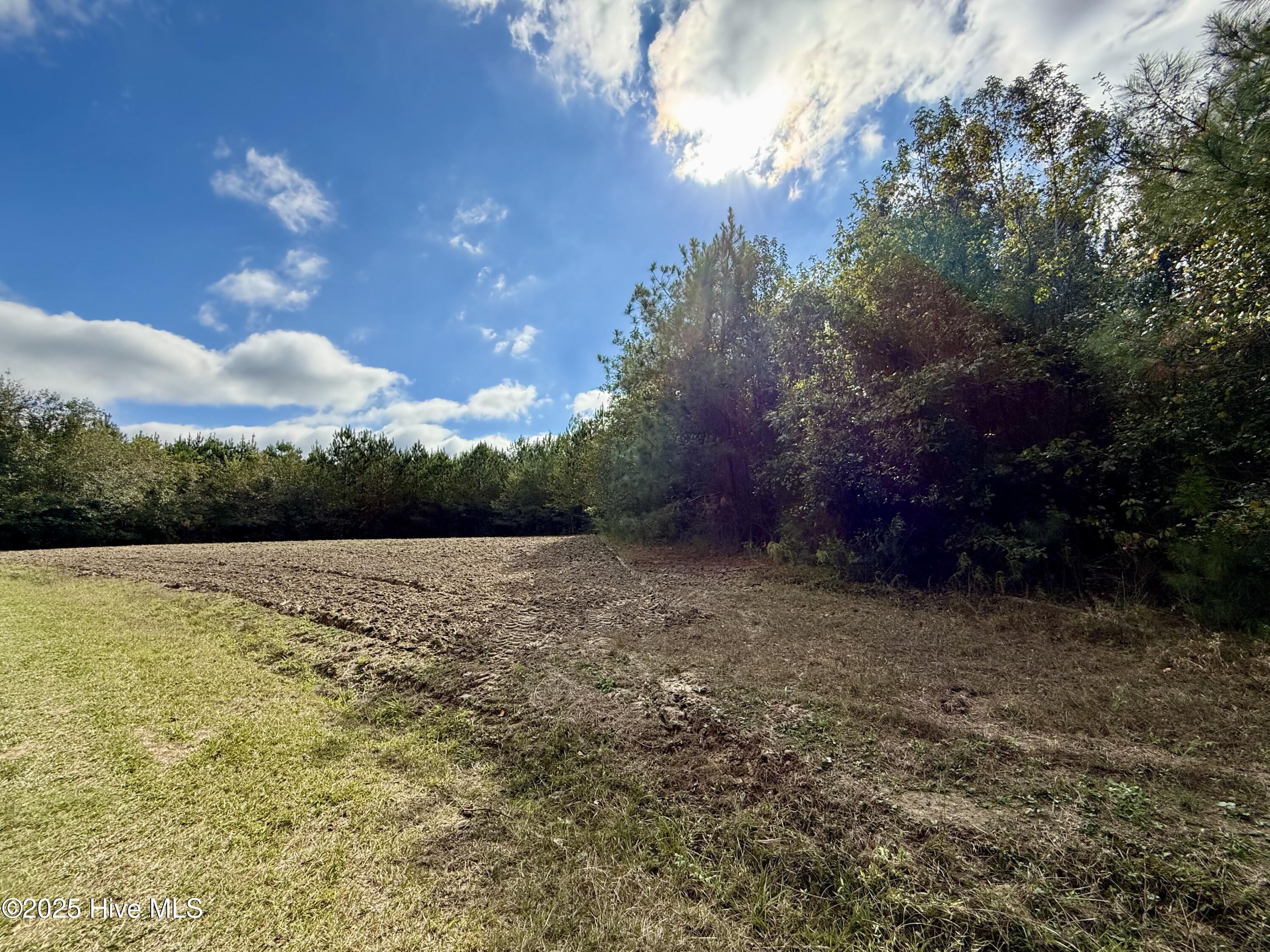 0 Atkinson Cemetery Road Property Photo 46