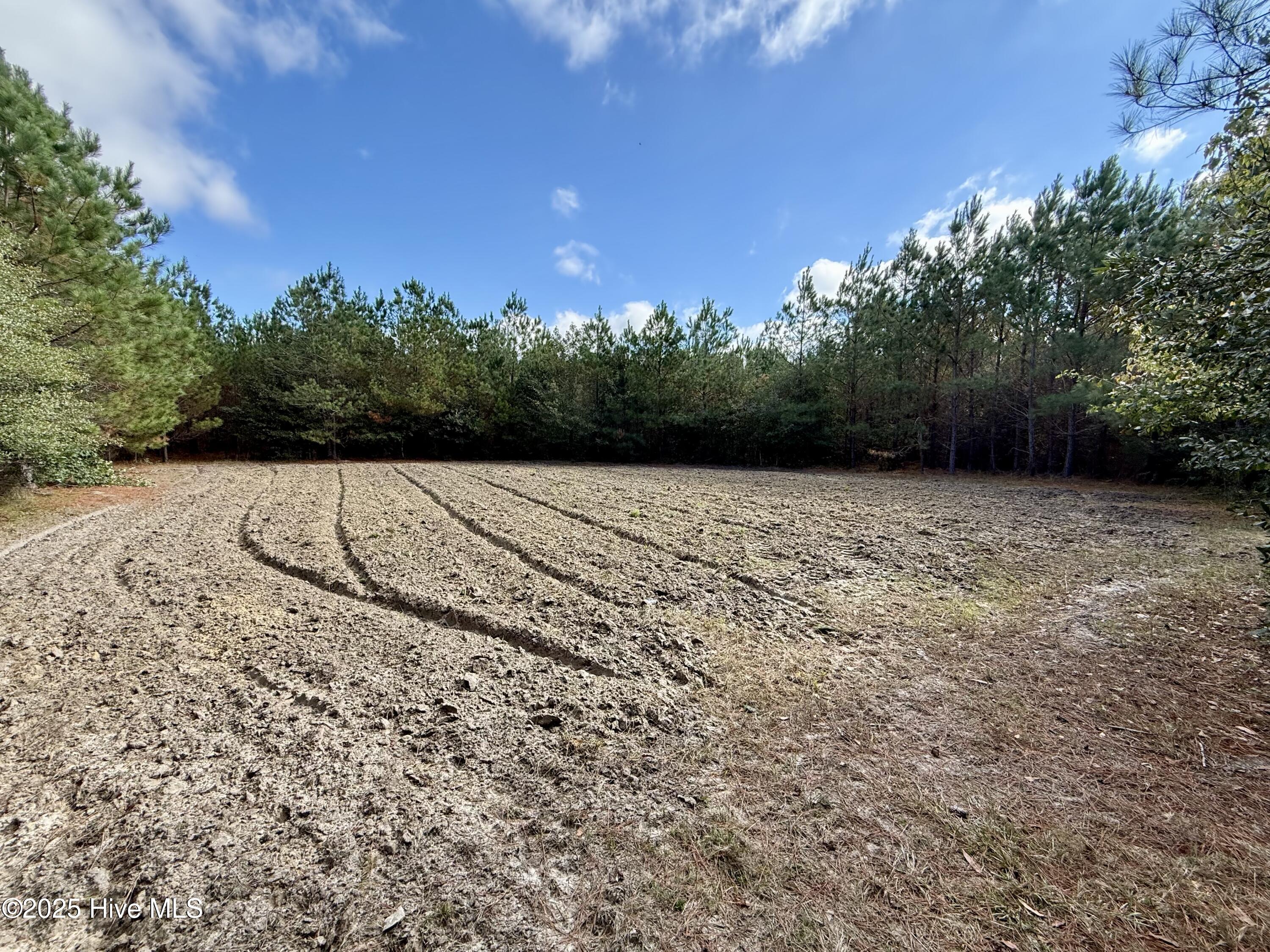 0 Atkinson Cemetery Road Property Photo 47