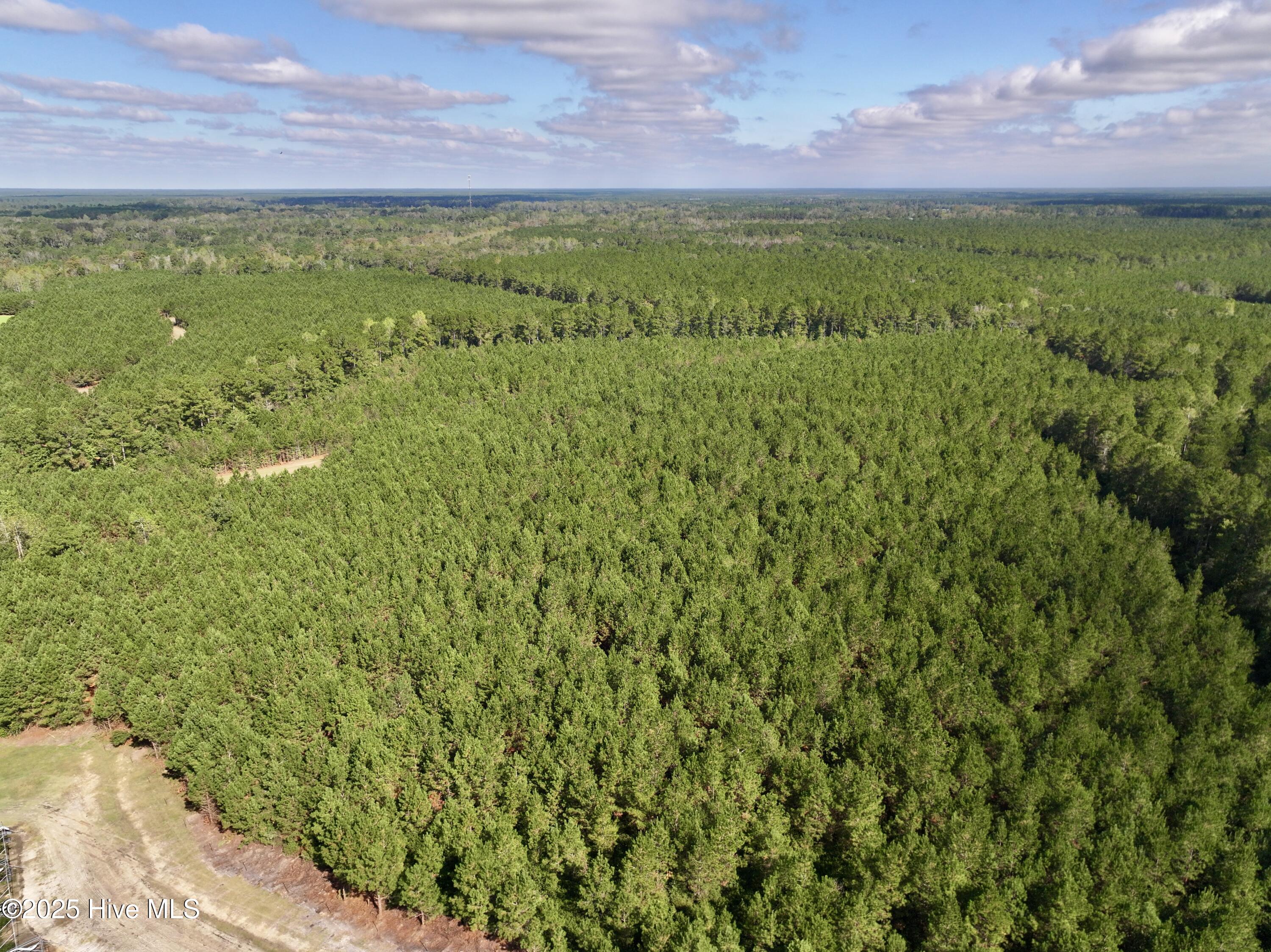 0 Atkinson Cemetery Road Property Photo 48