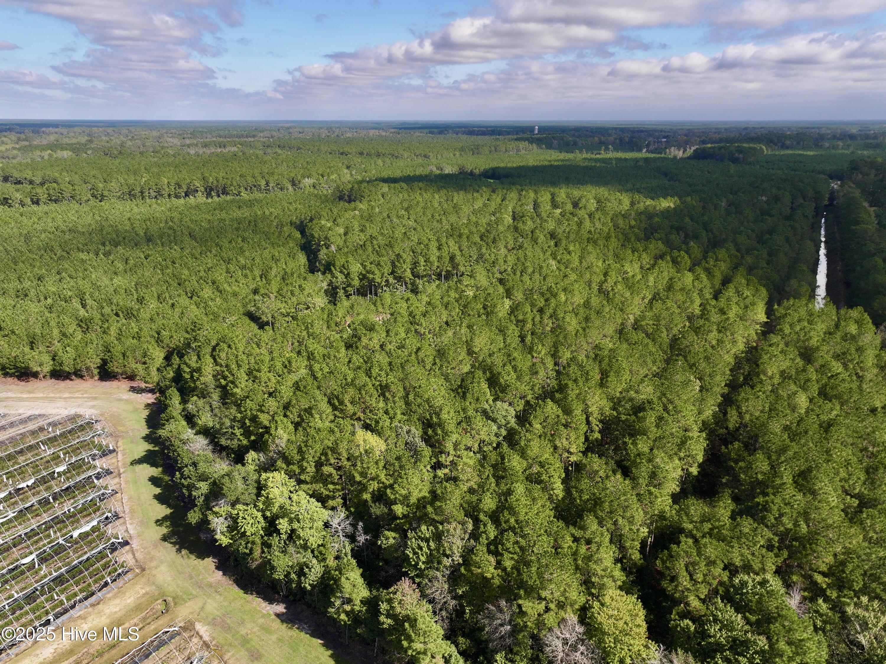 0 Atkinson Cemetery Road Property Photo 49