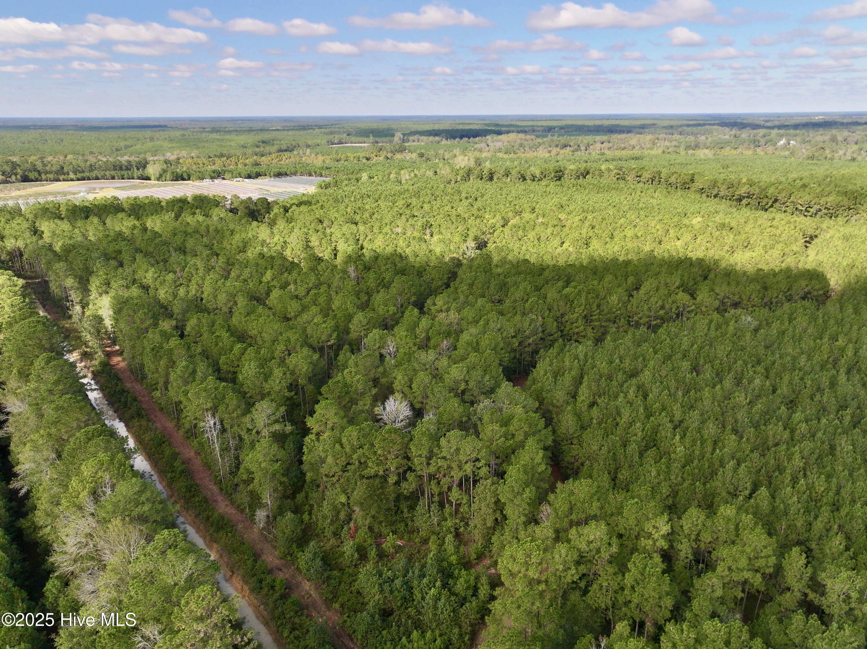 0 Atkinson Cemetery Road Property Photo 50