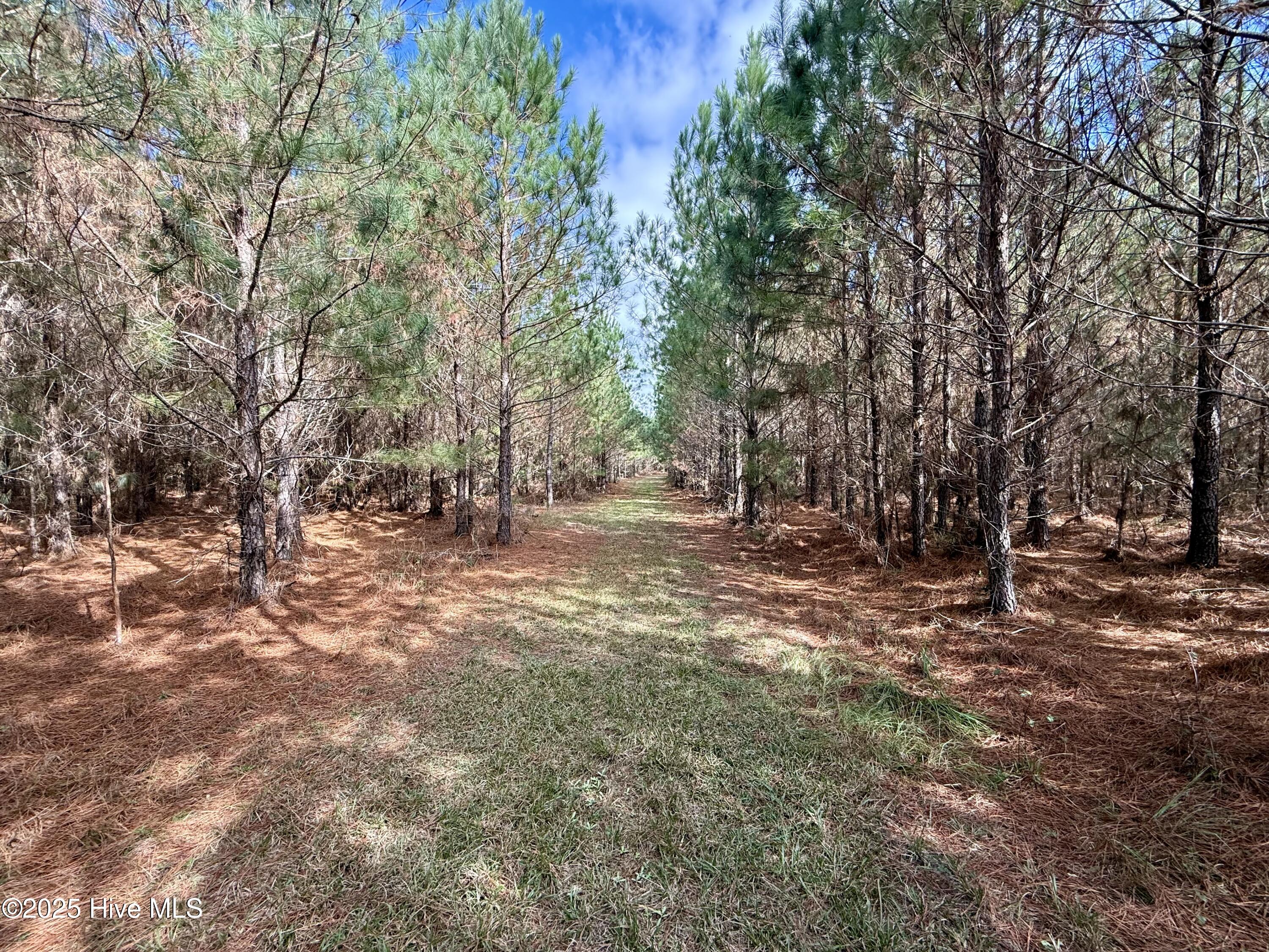 0 Atkinson Cemetery Road Property Photo 52