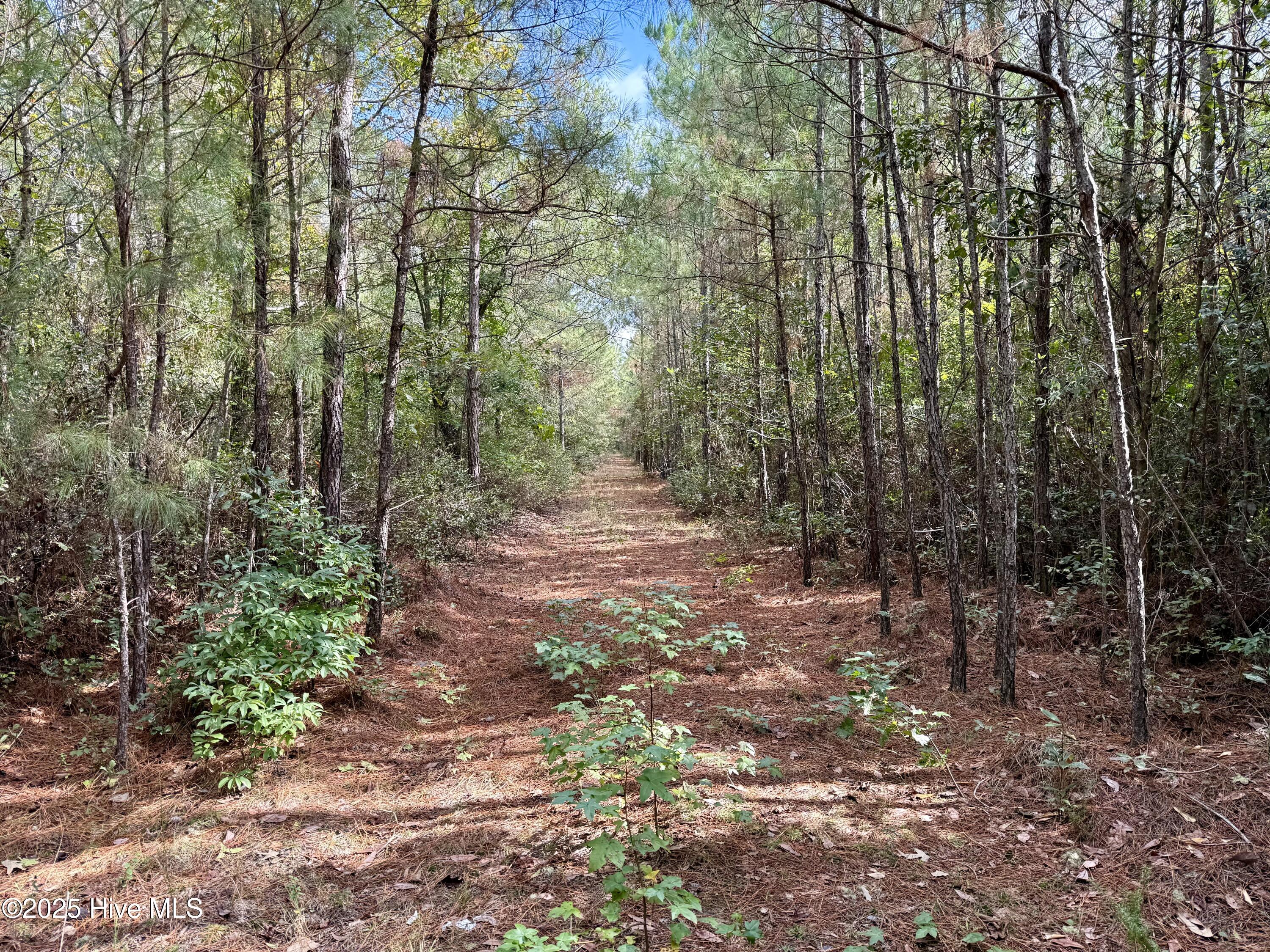 0 Atkinson Cemetery Road Property Photo 54