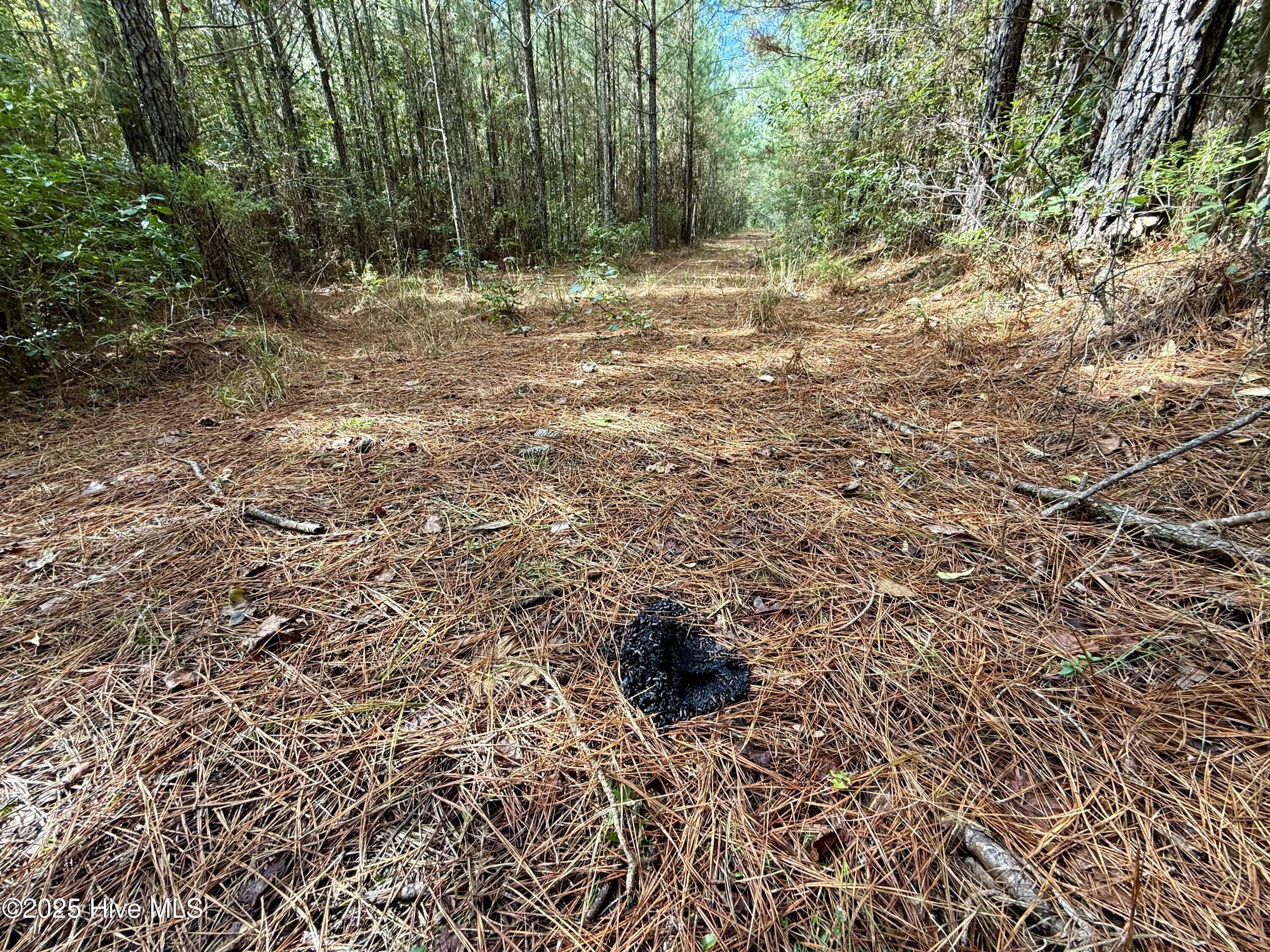 0 Atkinson Cemetery Road Property Photo 56