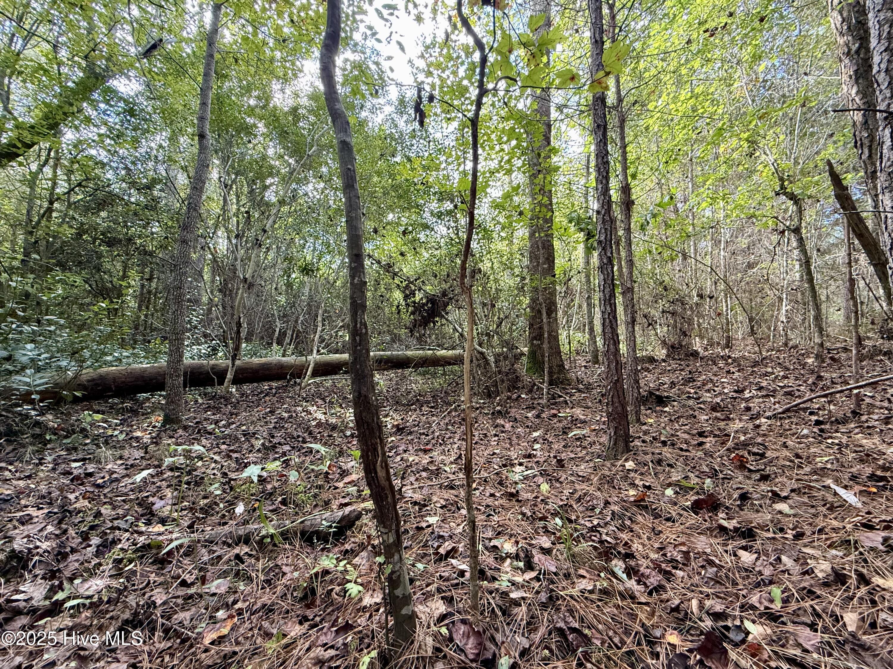 0 Atkinson Cemetery Road Property Photo 57