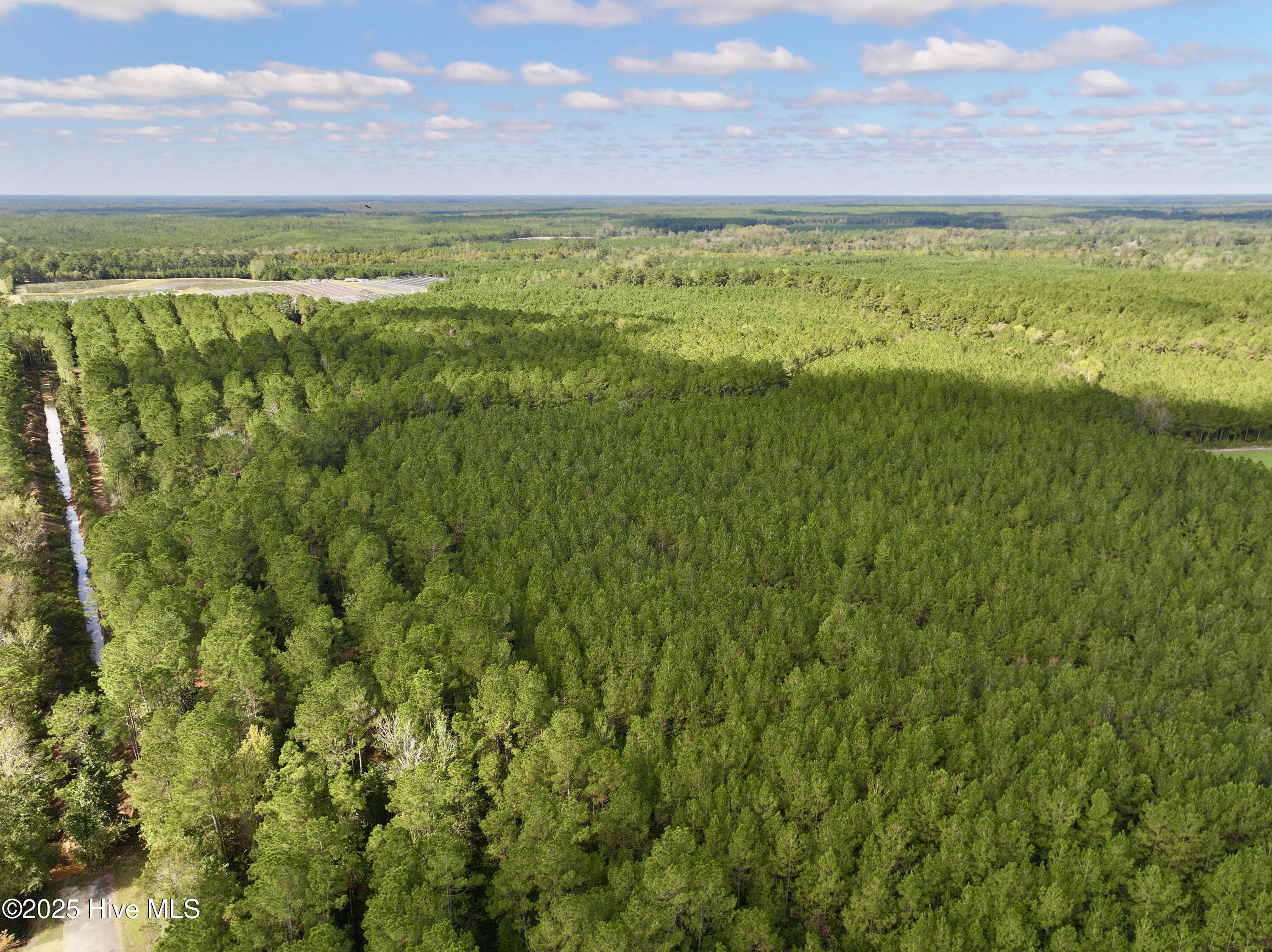 0 Atkinson Cemetery Road Property Photo 58