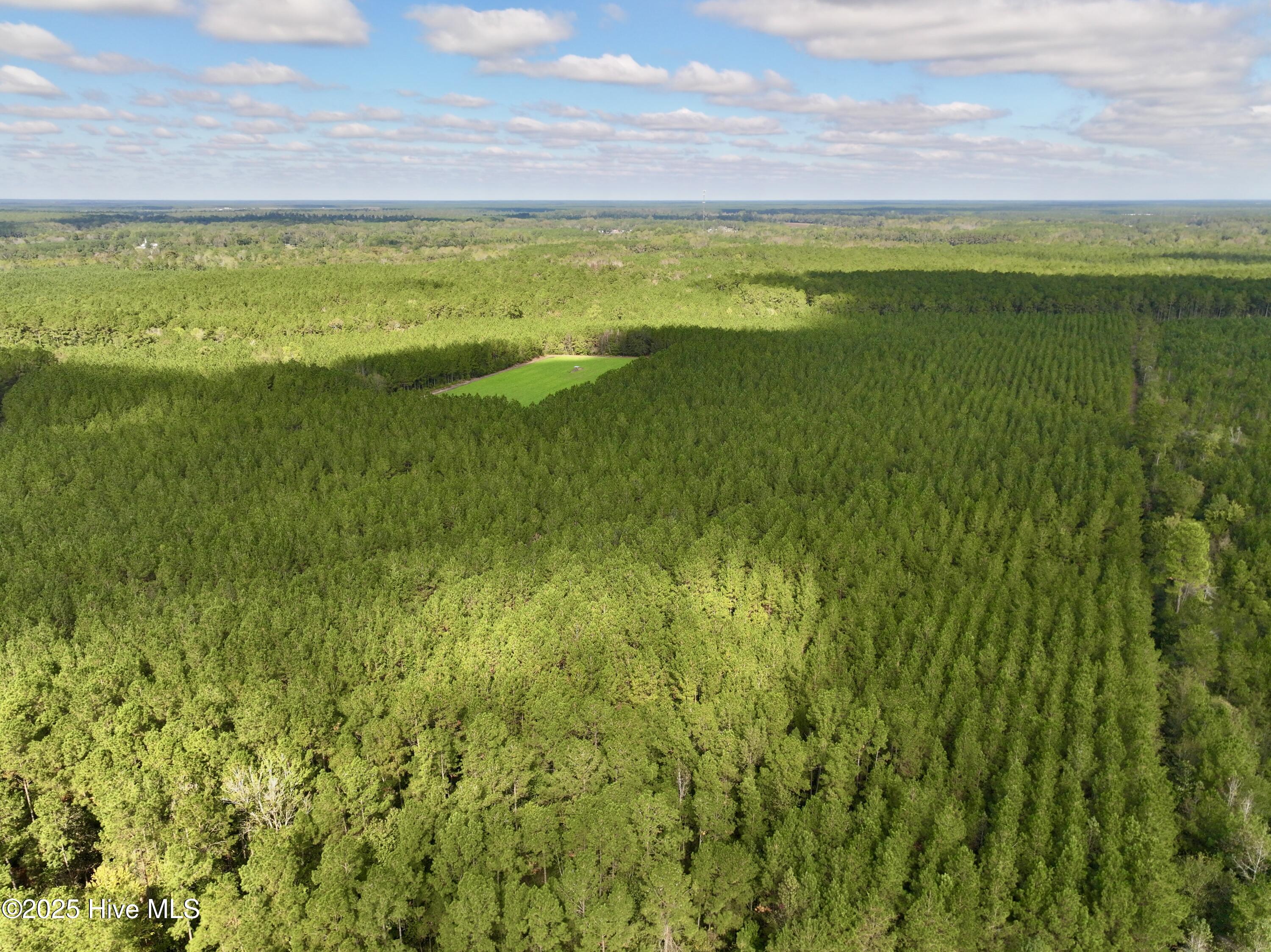 0 Atkinson Cemetery Road Property Photo 59