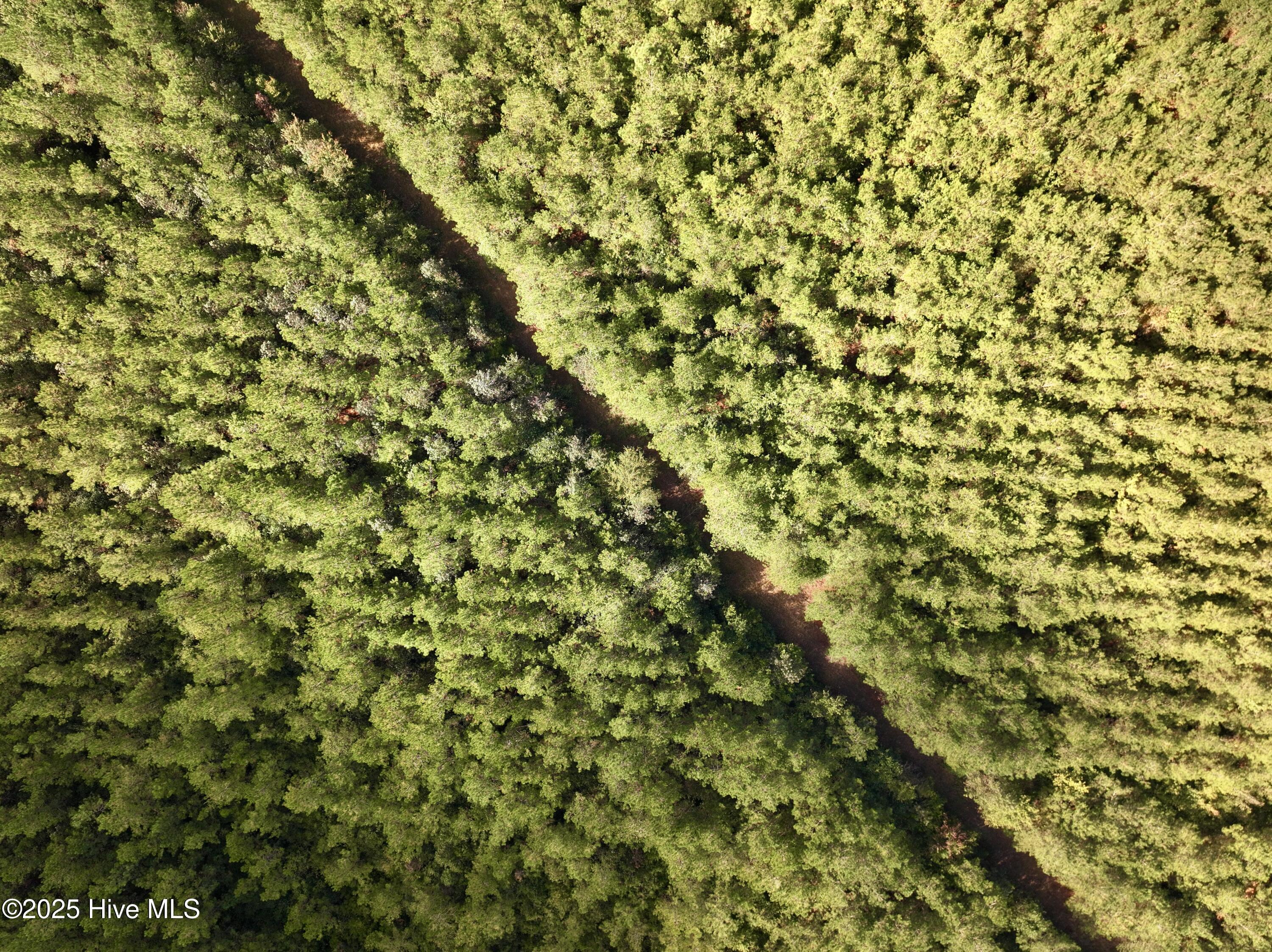 0 Atkinson Cemetery Road Property Photo 60