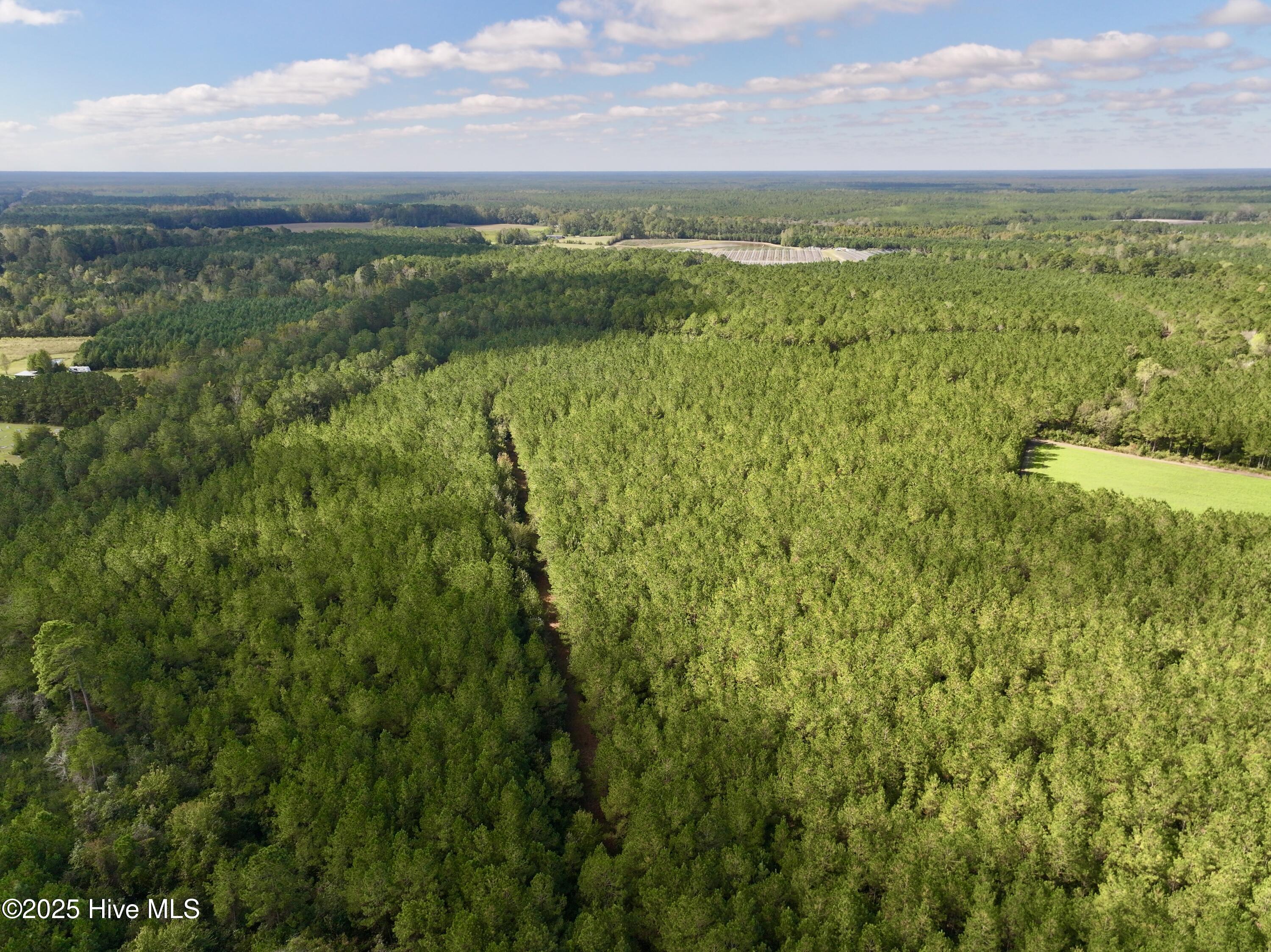 0 Atkinson Cemetery Road Property Photo 61