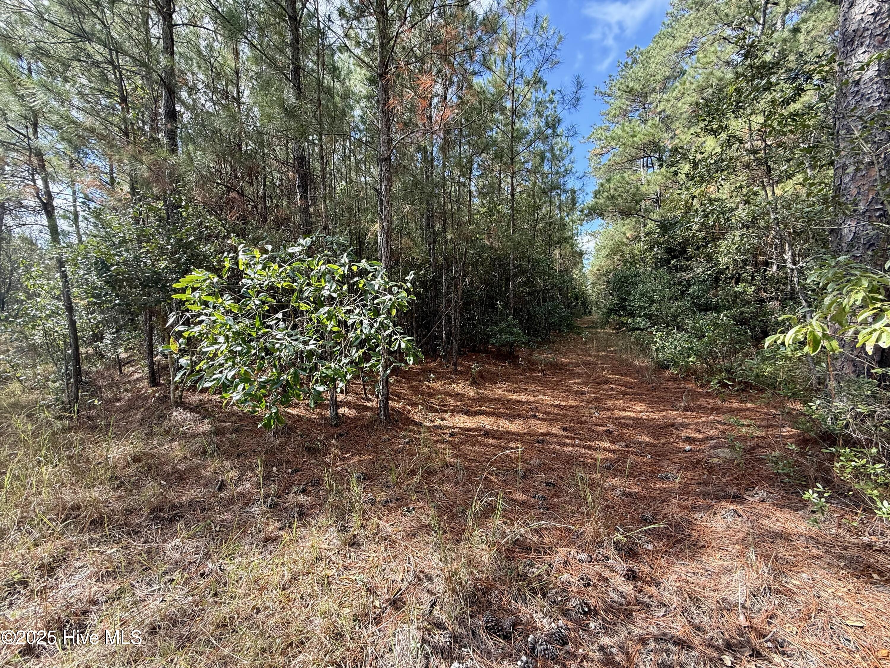 0 Atkinson Cemetery Road Property Photo 62