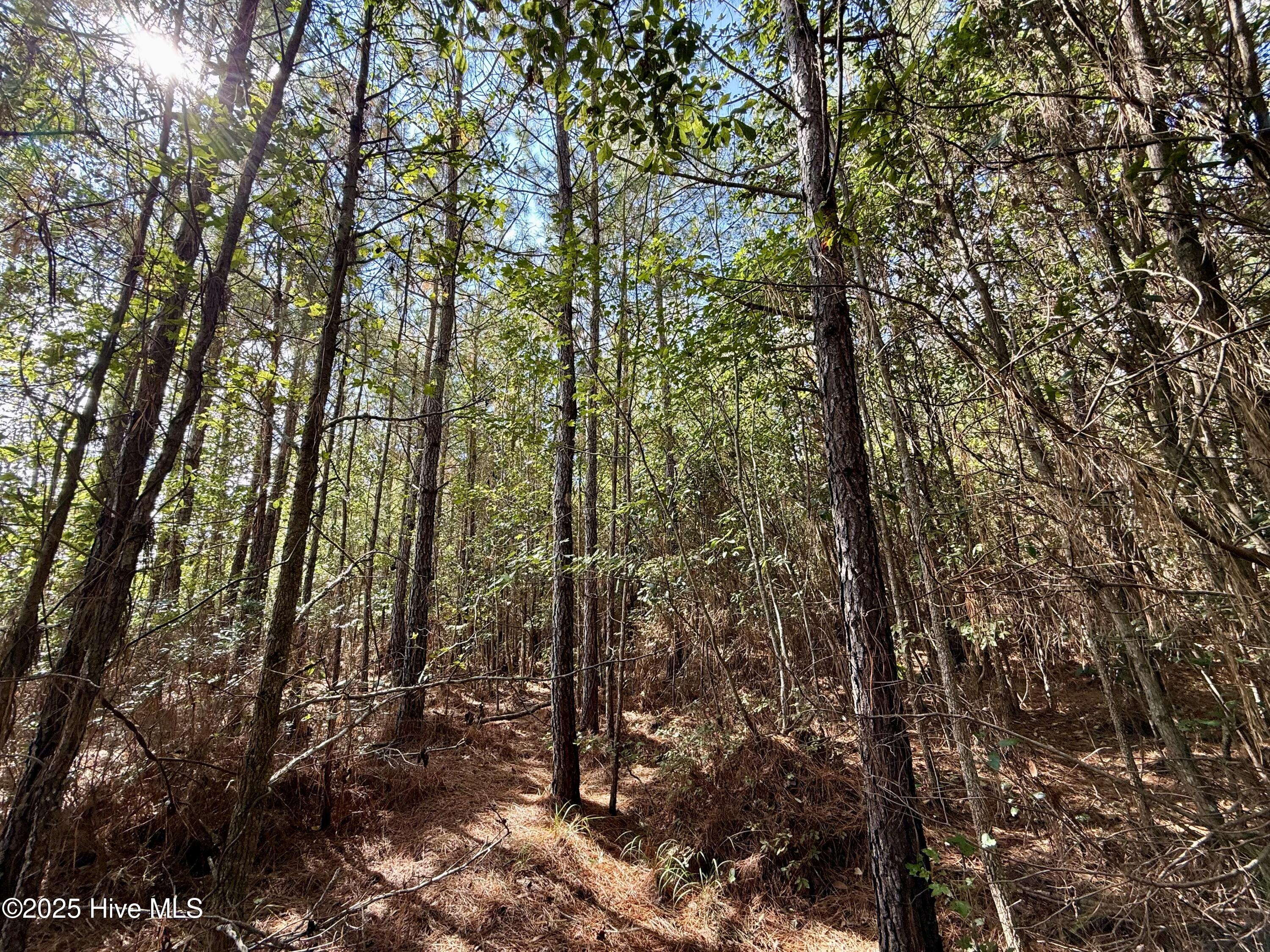 0 Atkinson Cemetery Road Property Photo 63