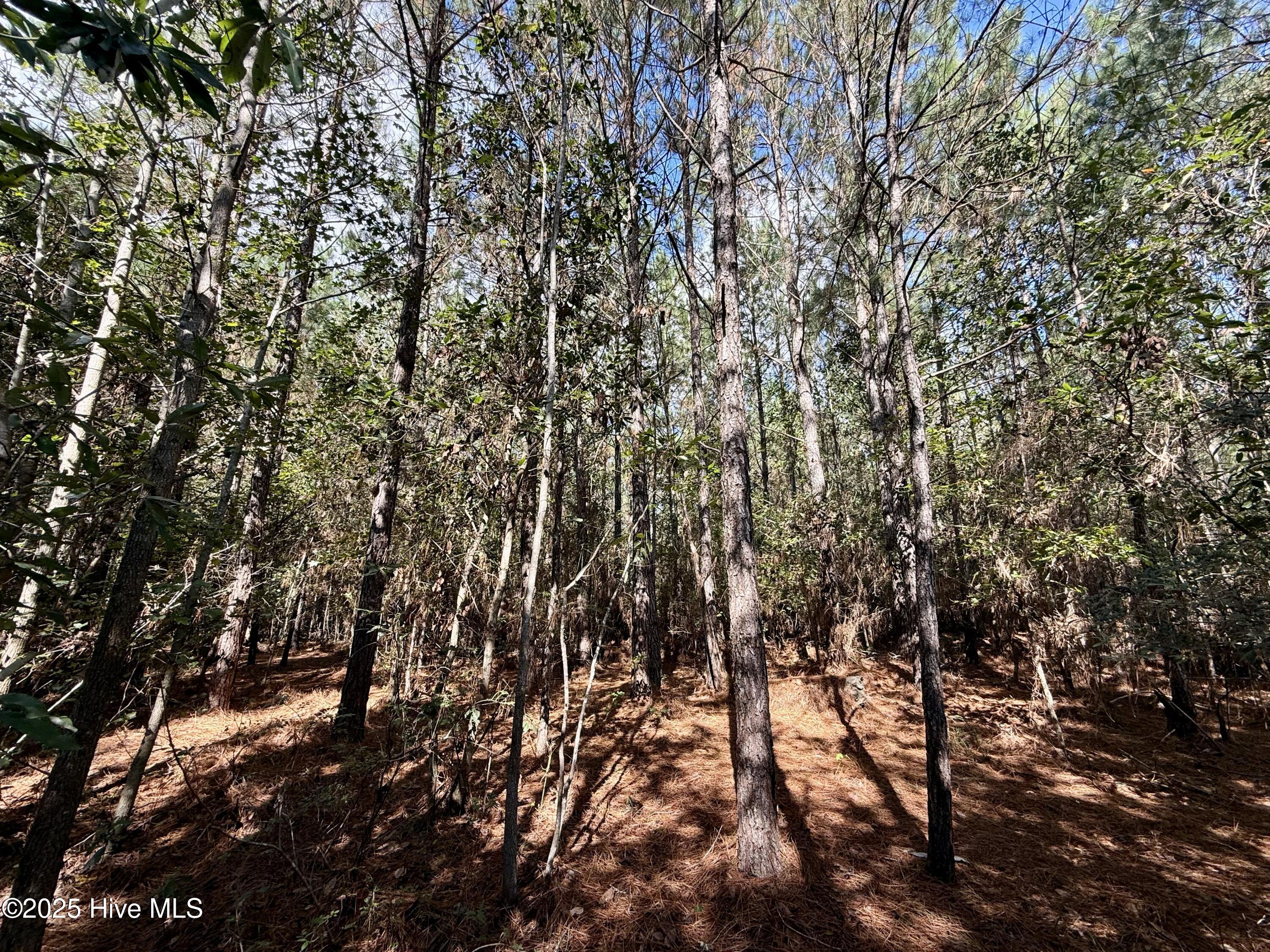 0 Atkinson Cemetery Road Property Photo 64