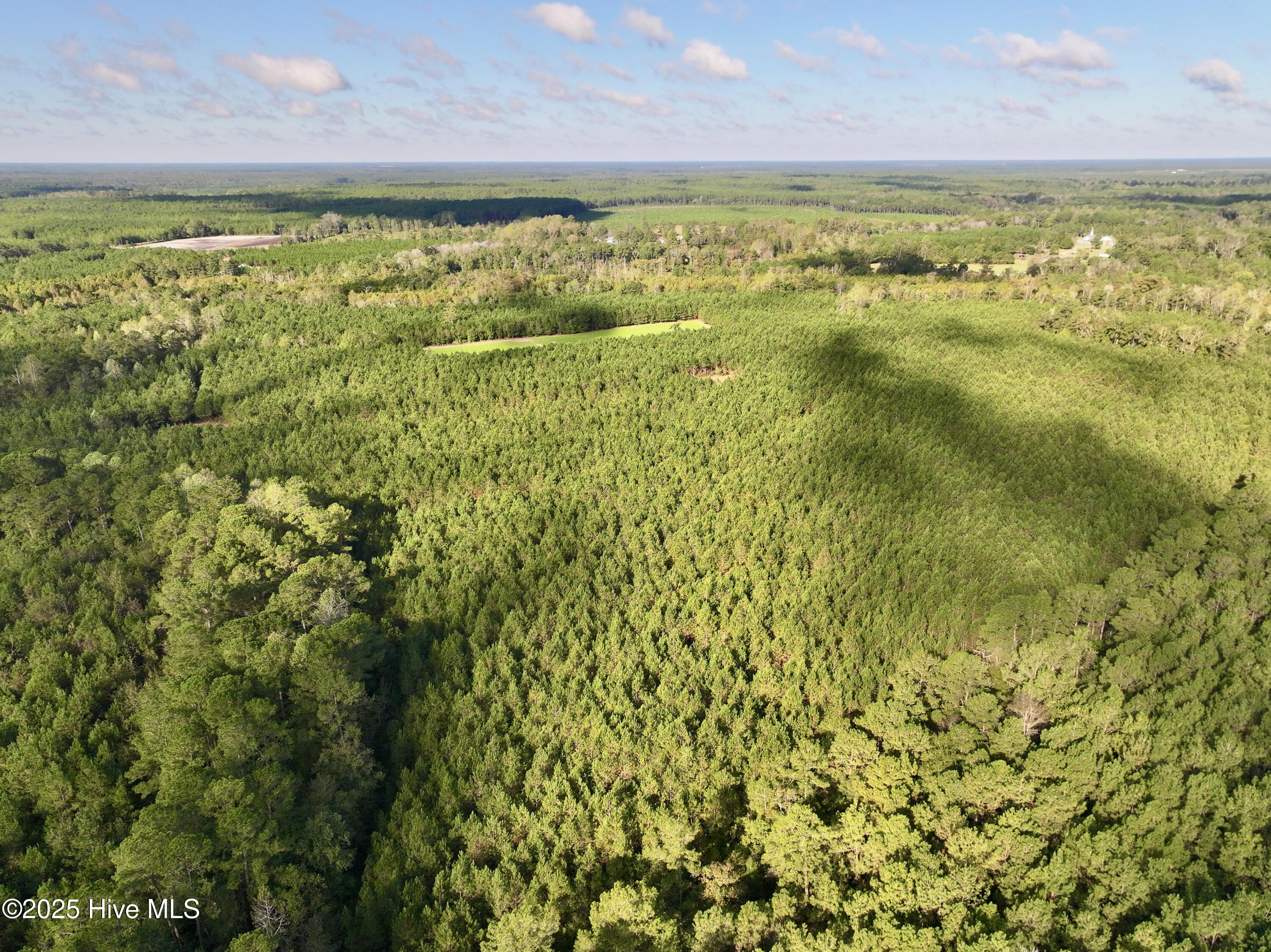 0 Atkinson Cemetery Road Property Photo 65