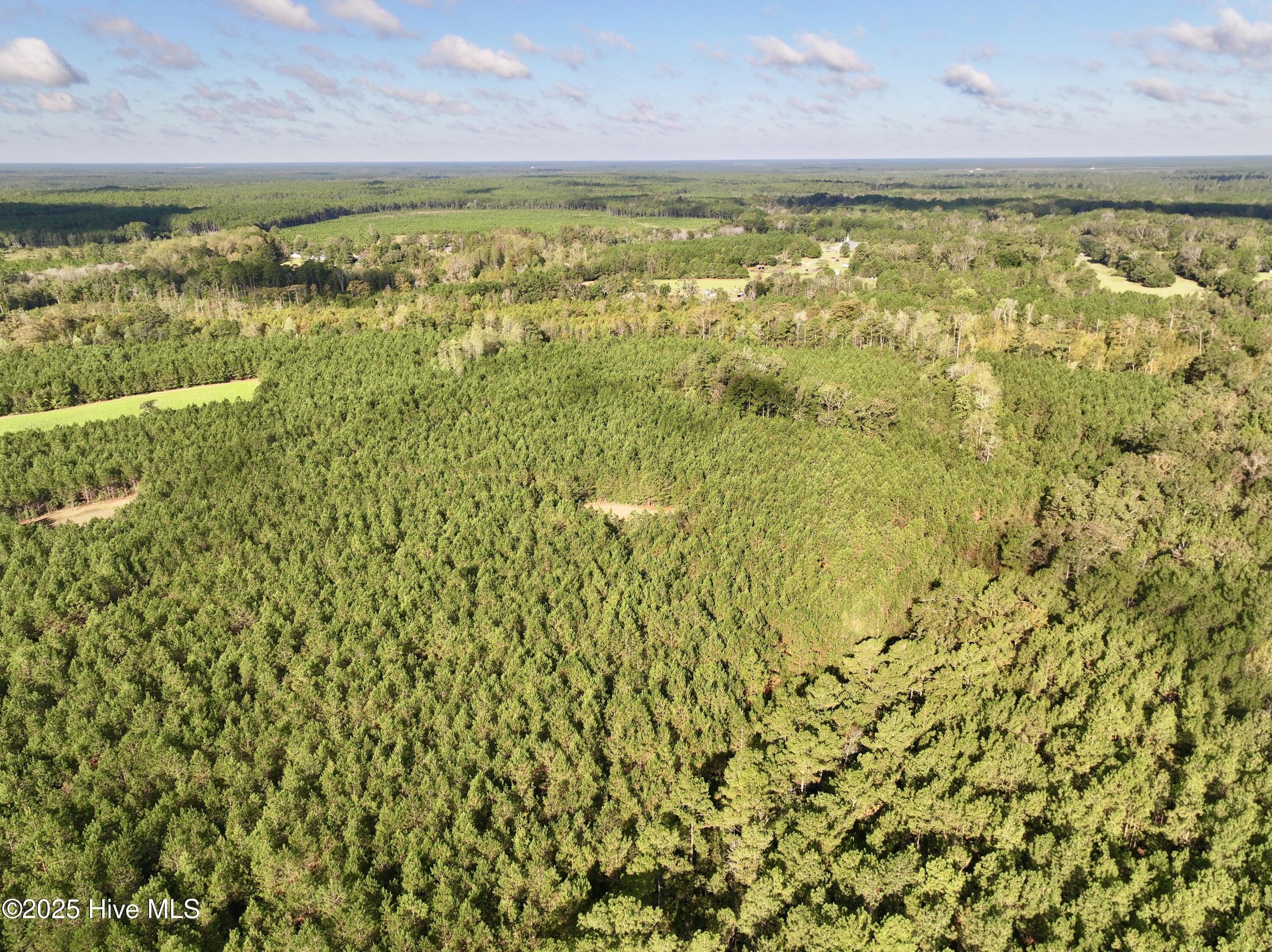 0 Atkinson Cemetery Road Property Photo 66